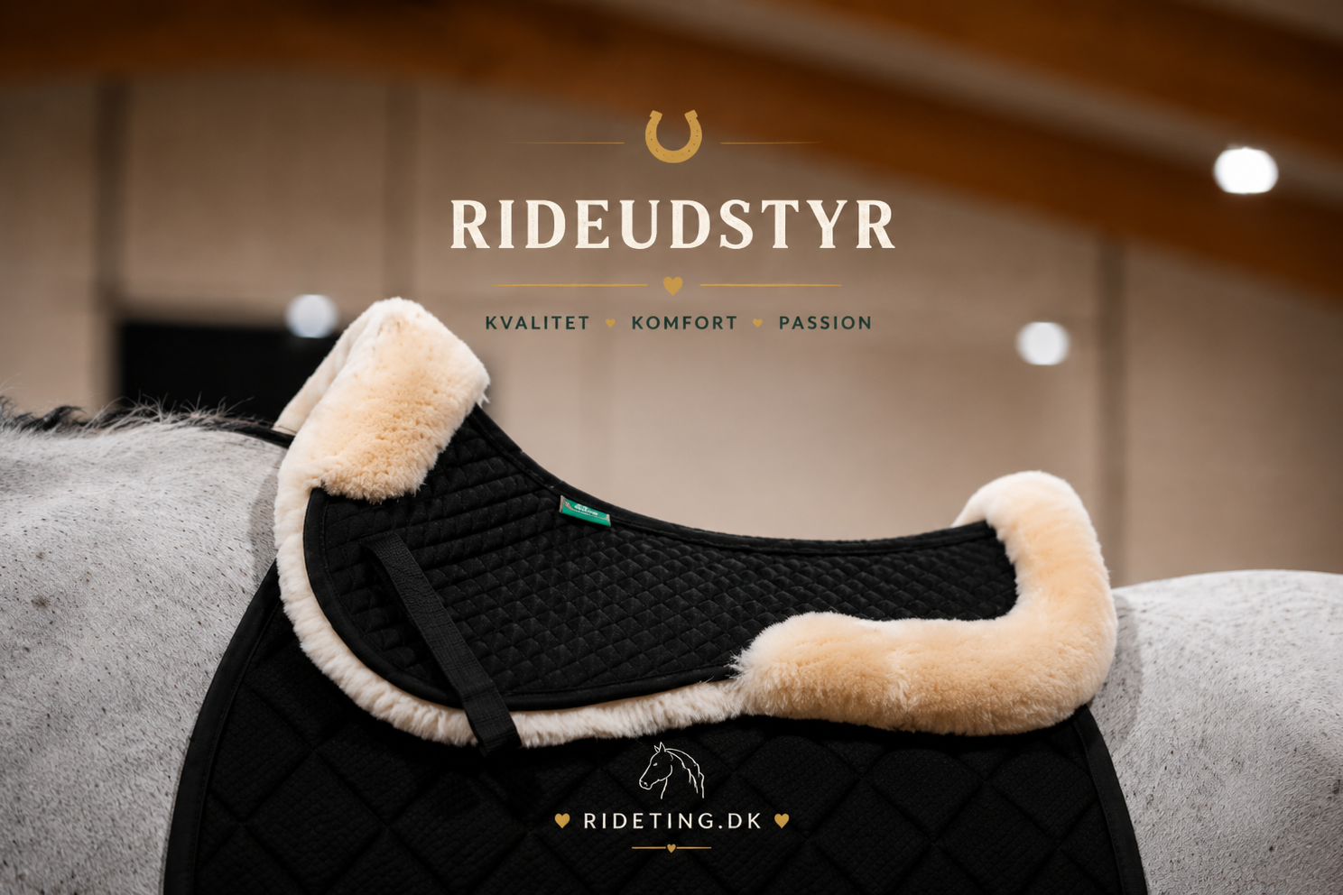 Udstyr til træning & ridning