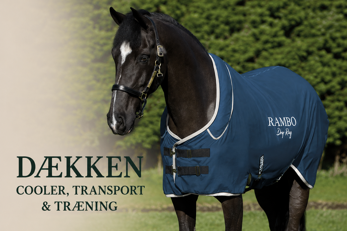 Dækken. Coolers, transport- & træningsdækkener