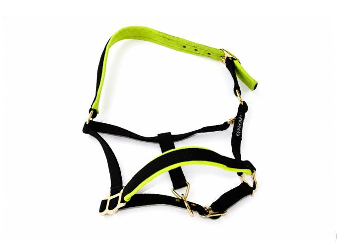 Grime Equsana Collection grime – str. Cob (sort/lime)