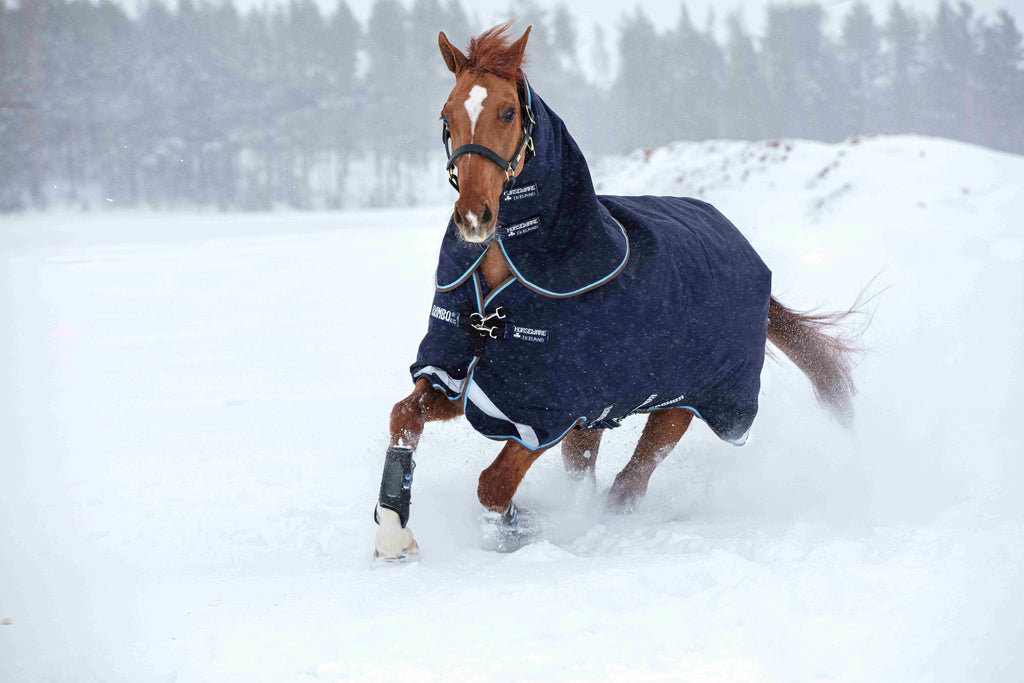 Horseware Rambo Duo Plus 1000D Ballistic Nylon, Turnout 100g , inkl. hals og 300g liner - Regndækken / Overgangsdækken / Vinterdækken