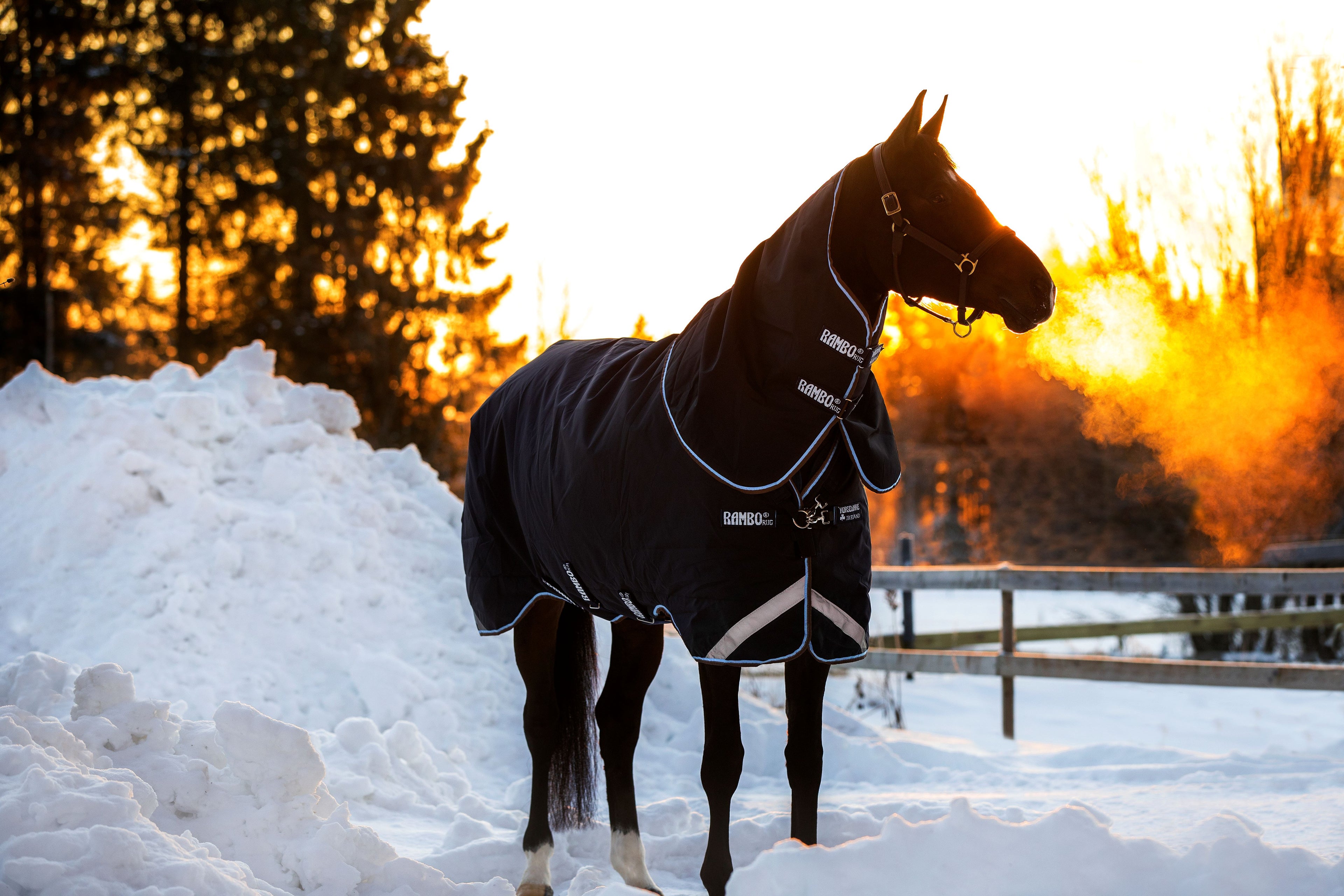 Horseware Rambo Duo Plus 1000D Ballistic Nylon, Turnout 100g , inkl. hals og 300g liner - Regndækken / Overgangsdækken / Vinterdækken