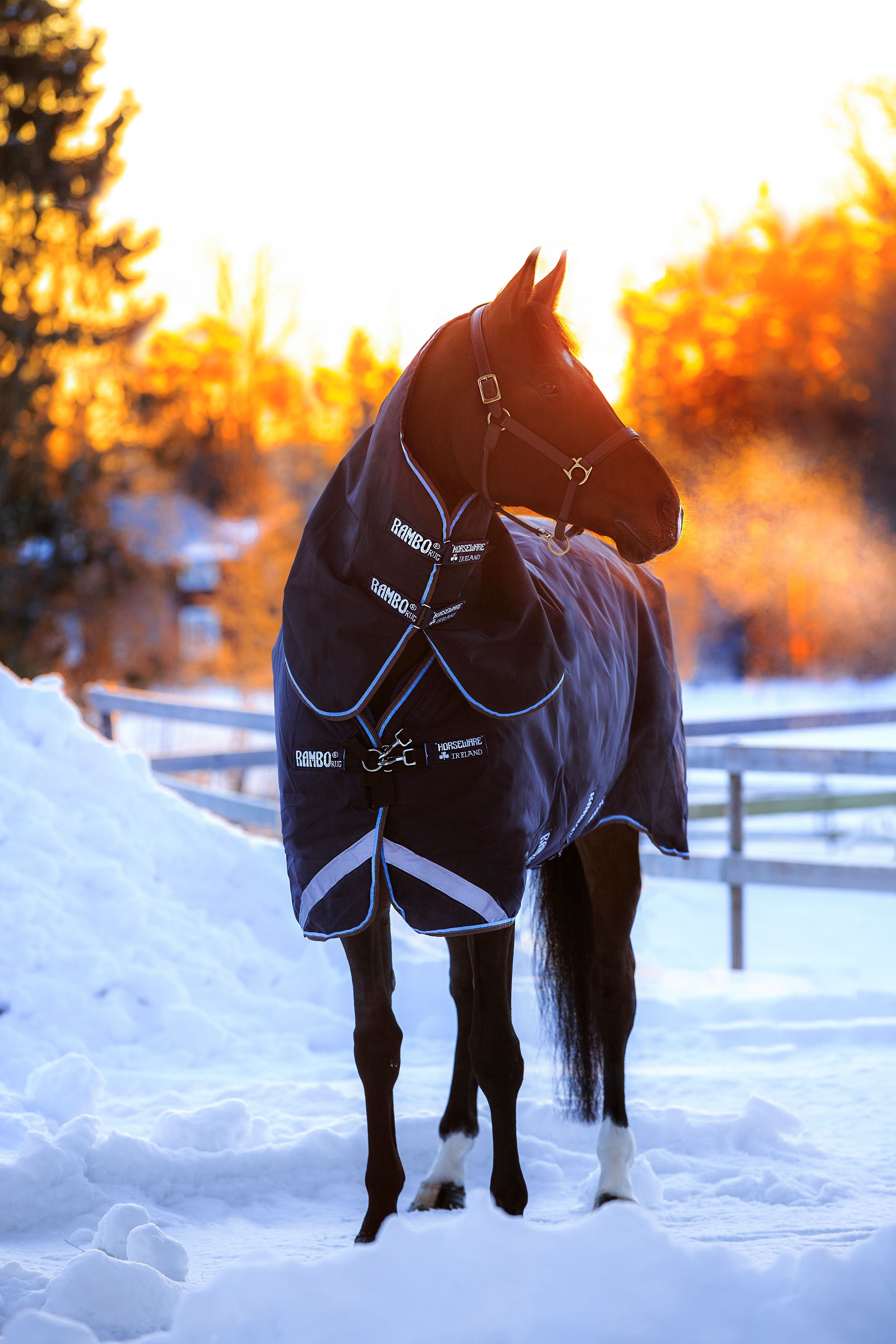 Horseware Rambo Duo Plus 1000D Ballistic Nylon, Turnout 100g , inkl. hals og 300g liner - Regndækken / Overgangsdækken / Vinterdækken