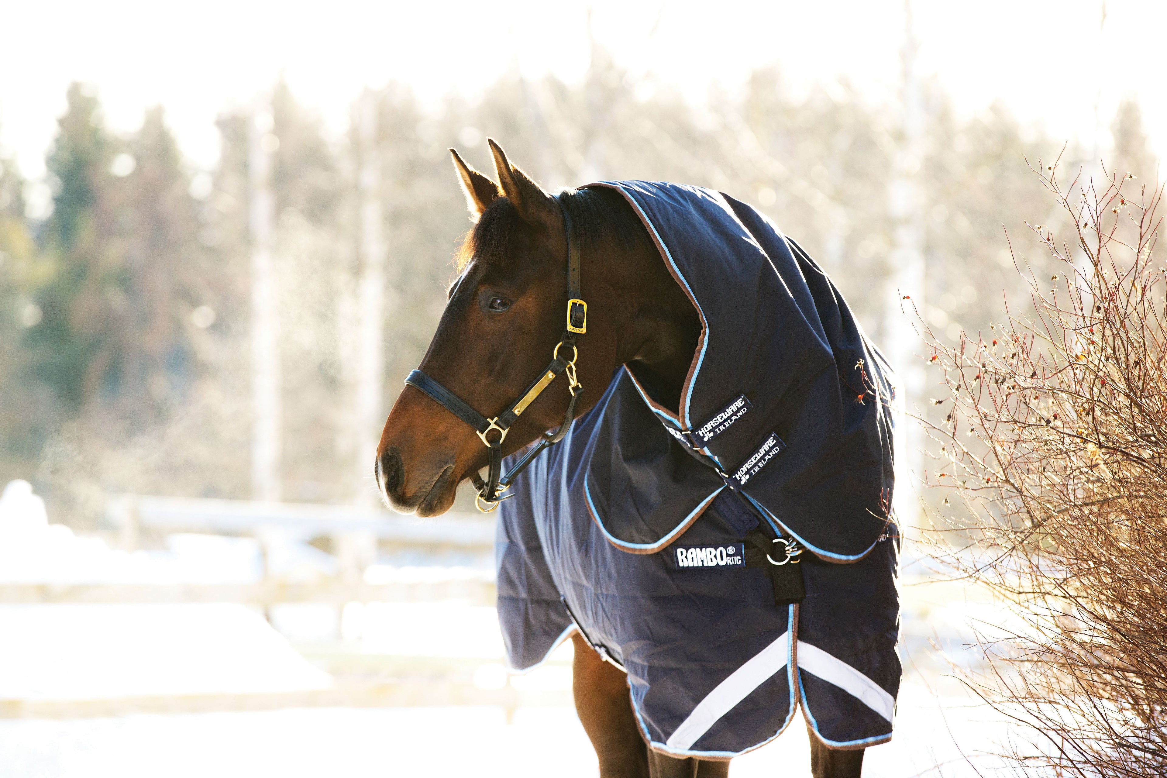 Horseware Rambo Duo Plus 1000D Ballistic Nylon, Turnout 100g , inkl. hals og 300g liner - Regndækken / Overgangsdækken / Vinterdækken