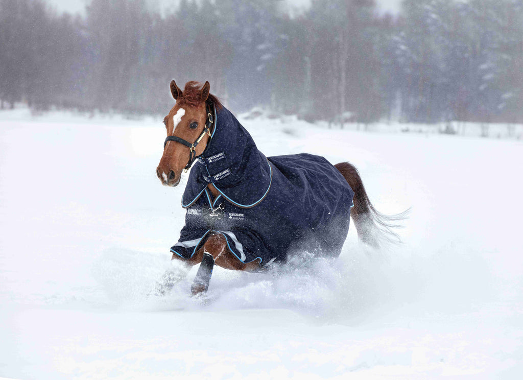 Horseware Rambo Duo Plus 1000D Ballistic Nylon, Turnout 100g , inkl. hals og 300g liner - Regndækken / Overgangsdækken / Vinterdækken