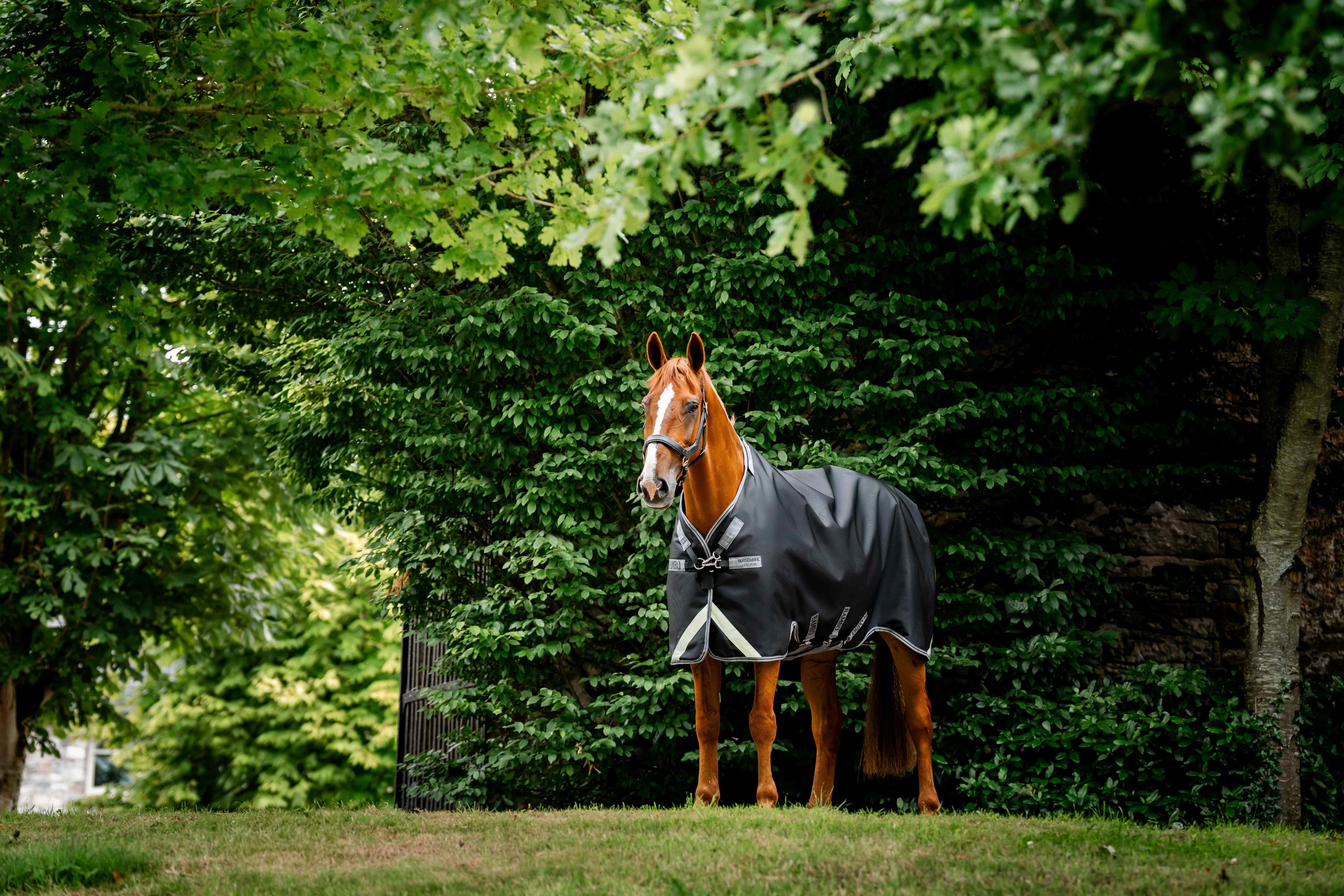 Rambo 1680D Ballistic Nylon Turnout 0g Regndækken