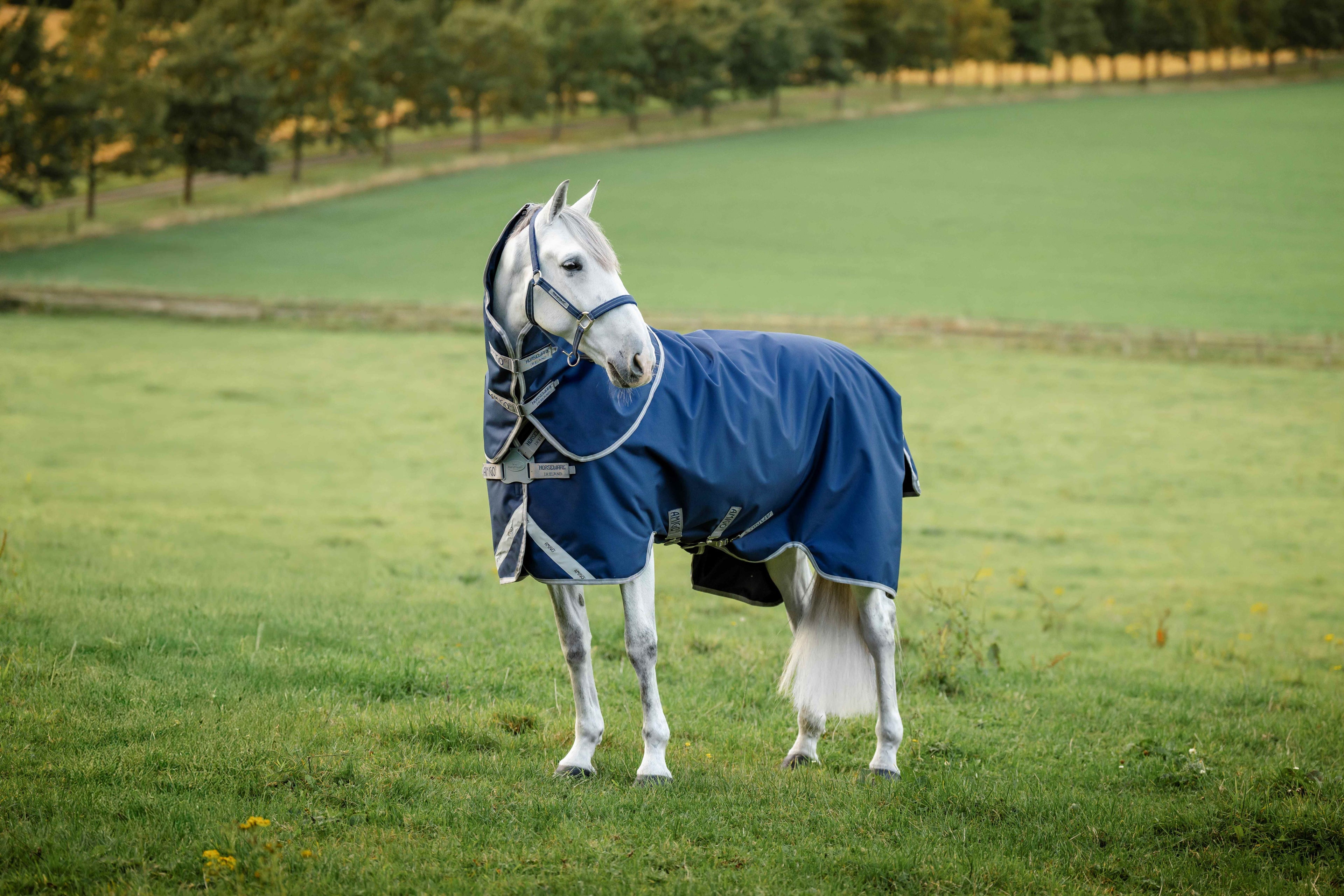 Amigo 1200D FieldSafe Plus Turnout 50g, inkl. hals Regndækken / Overgangsdækken