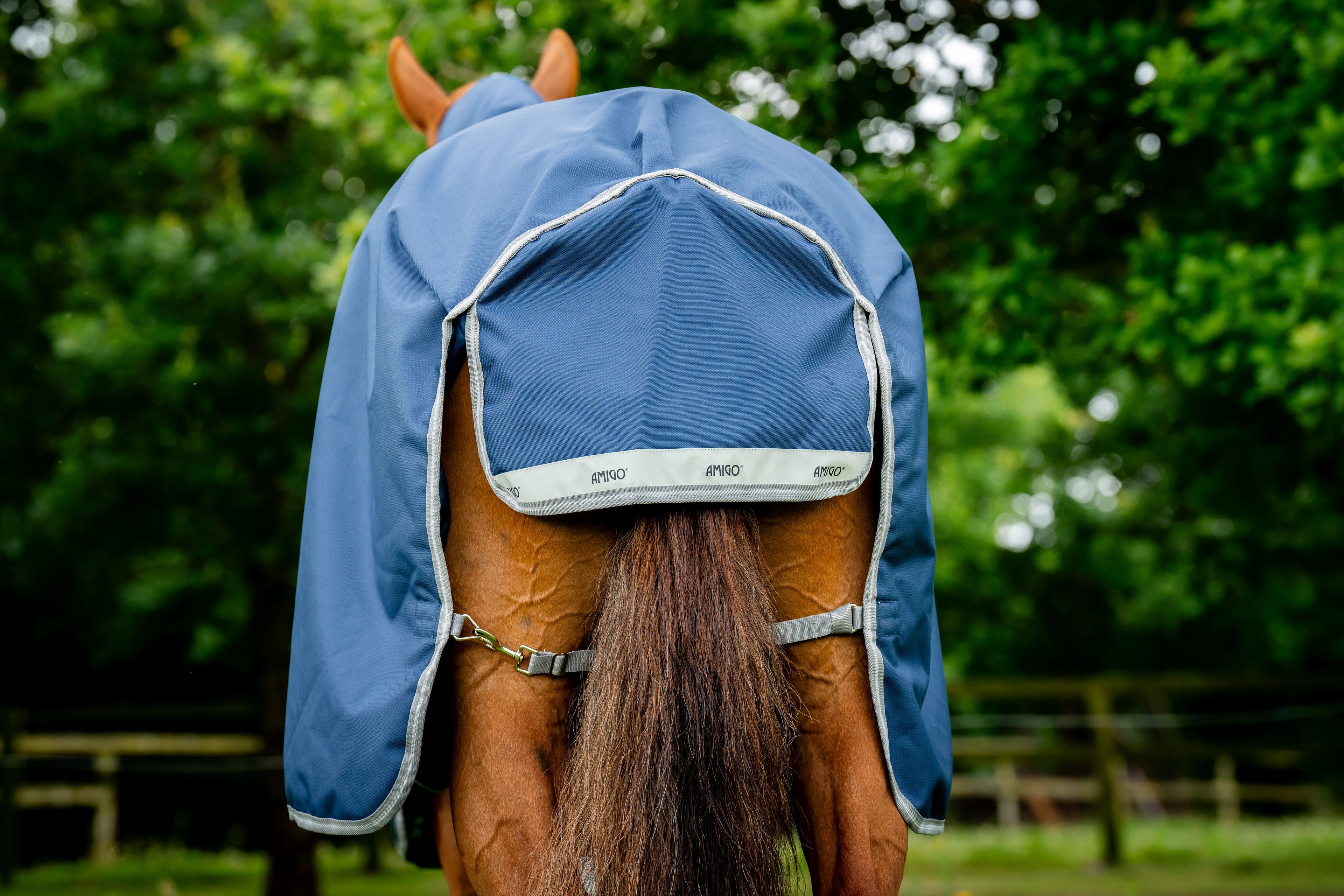 Horseware Amigo 1200D Plus Turnout 100g, inkl. hals - Overgangsdækken