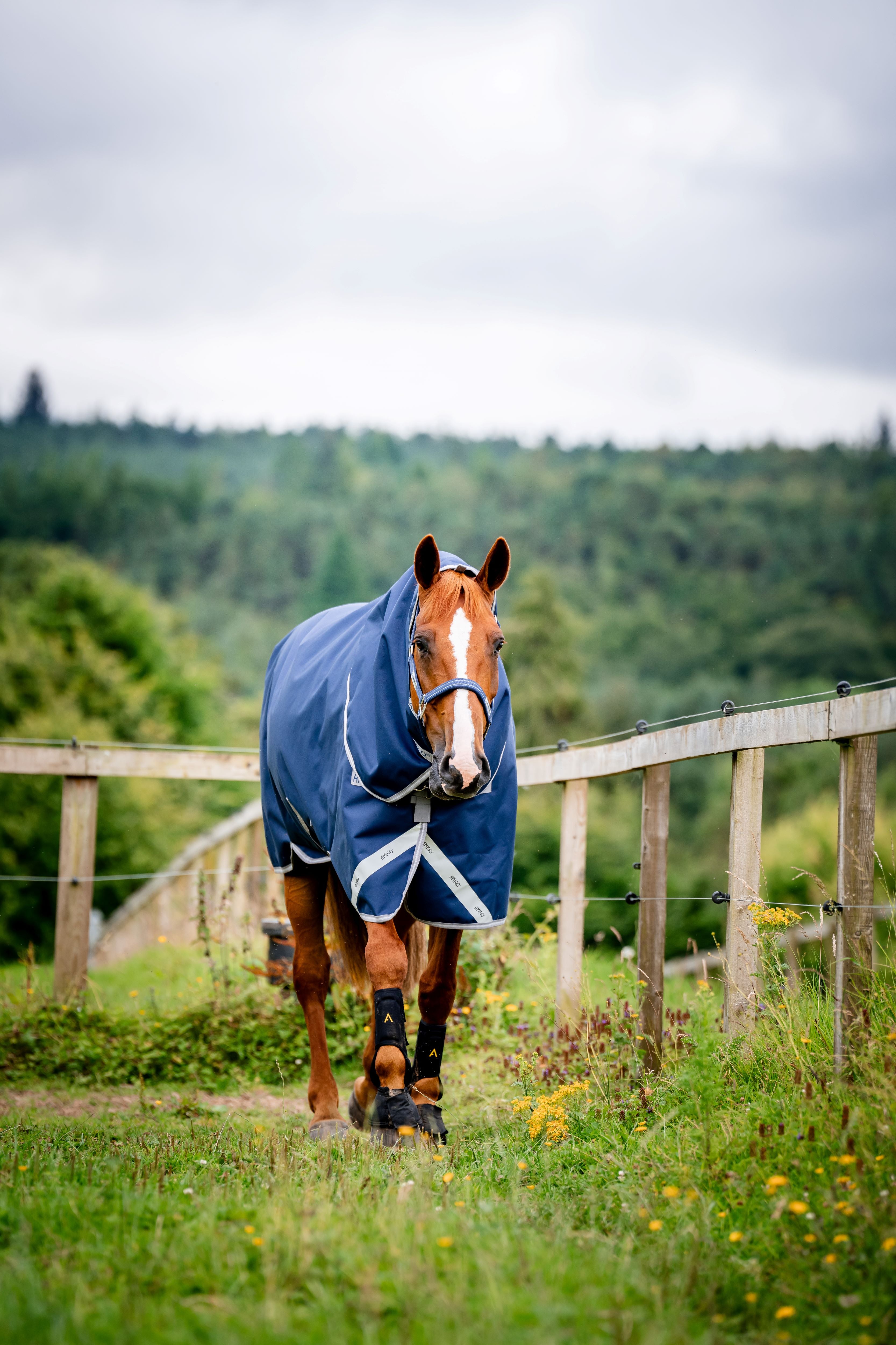 Horseware Amigo 1200D Plus Turnout 100g, inkl. hals - Overgangsdækken