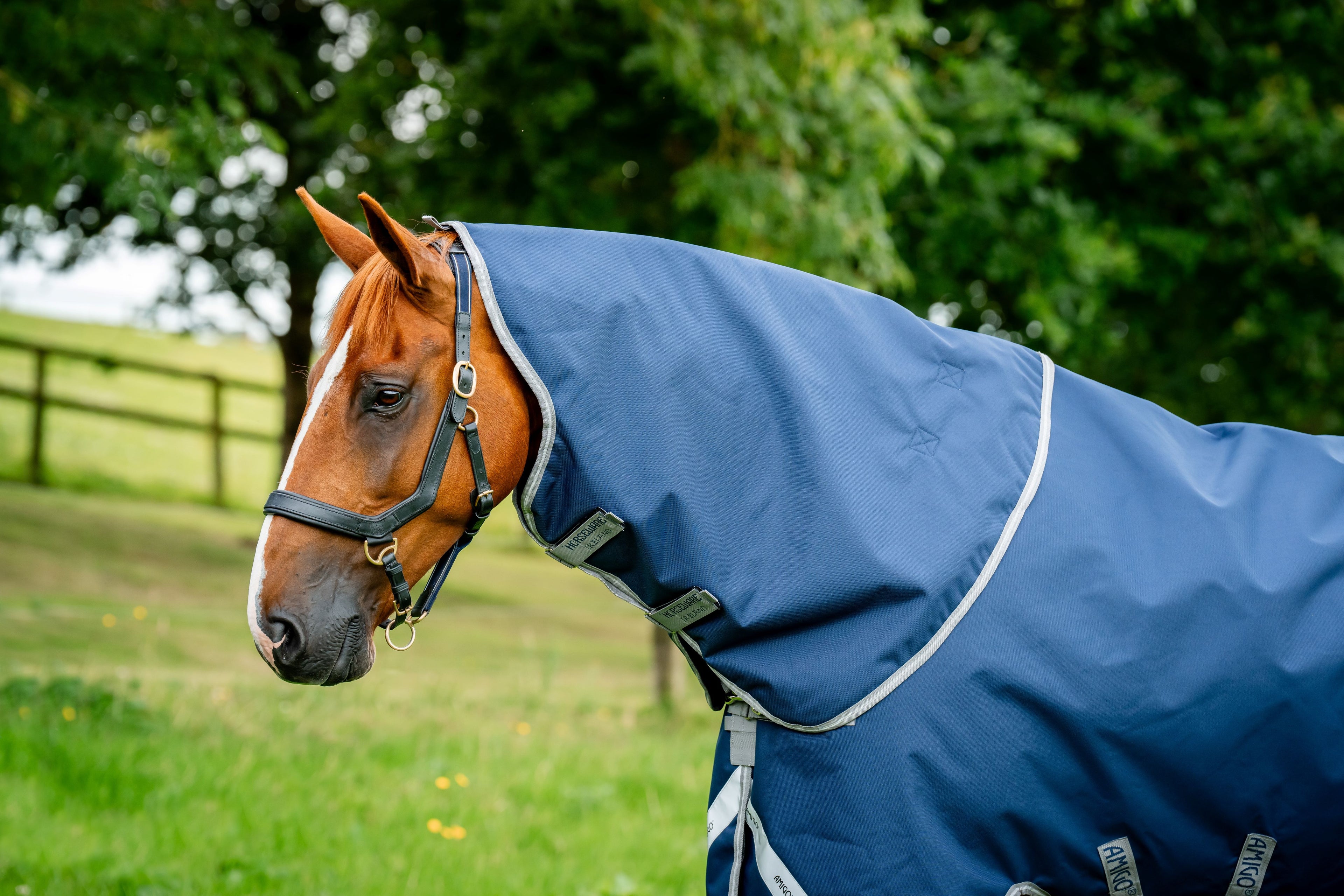 Horseware Amigo 1200D Plus Turnout 100g, inkl. hals - Overgangsdækken