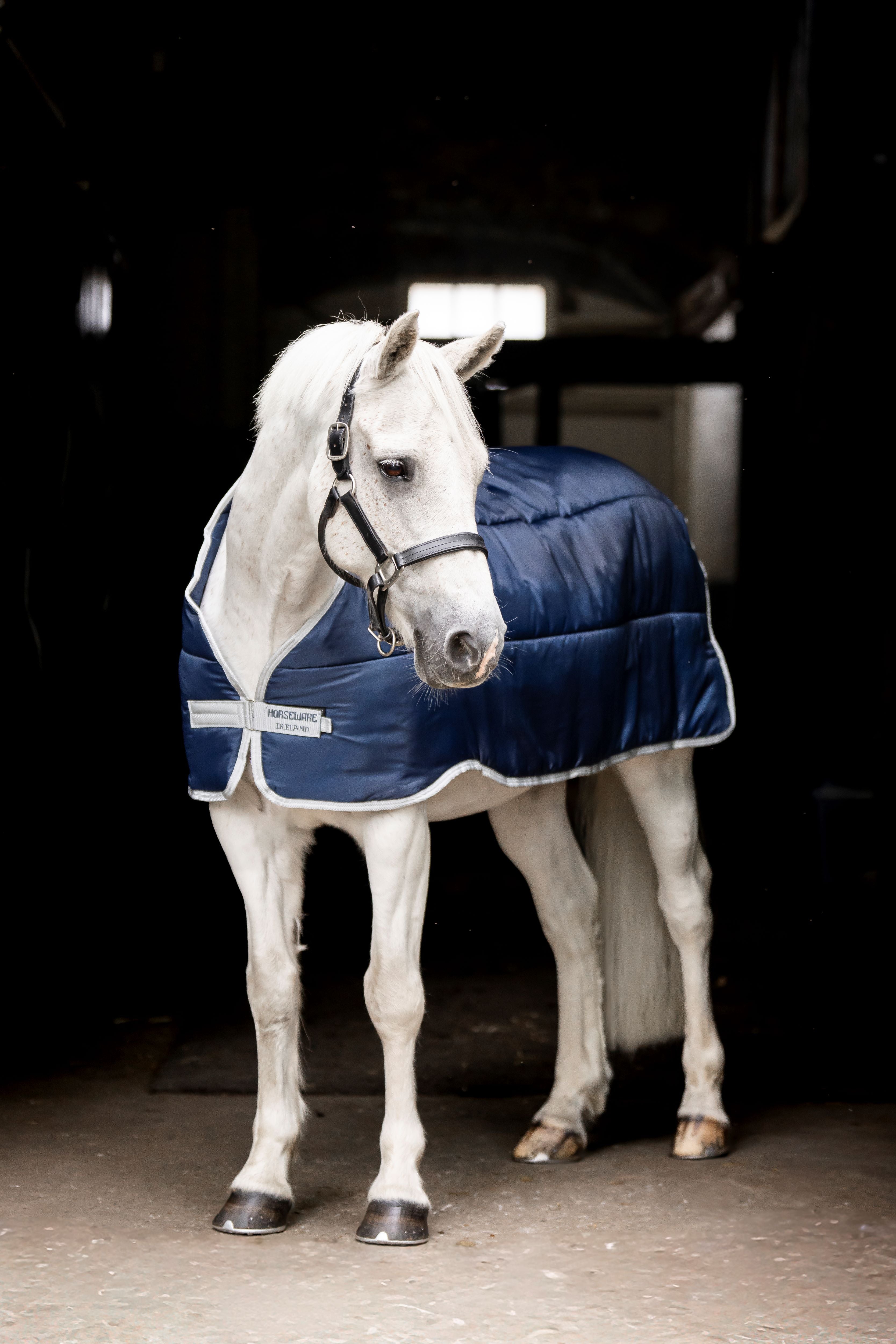 Horseware Liner 200g Pony - Mellemvarm liner til pony til kølige dage