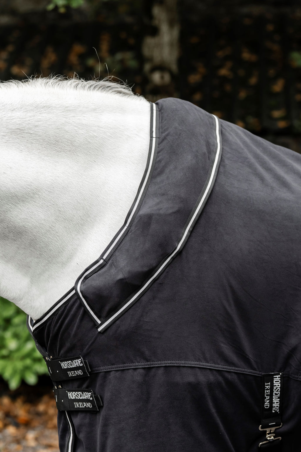 Horseware Show Ready Rug Showdækken / Transportdækken - Eksklusivt show- og transportdækken