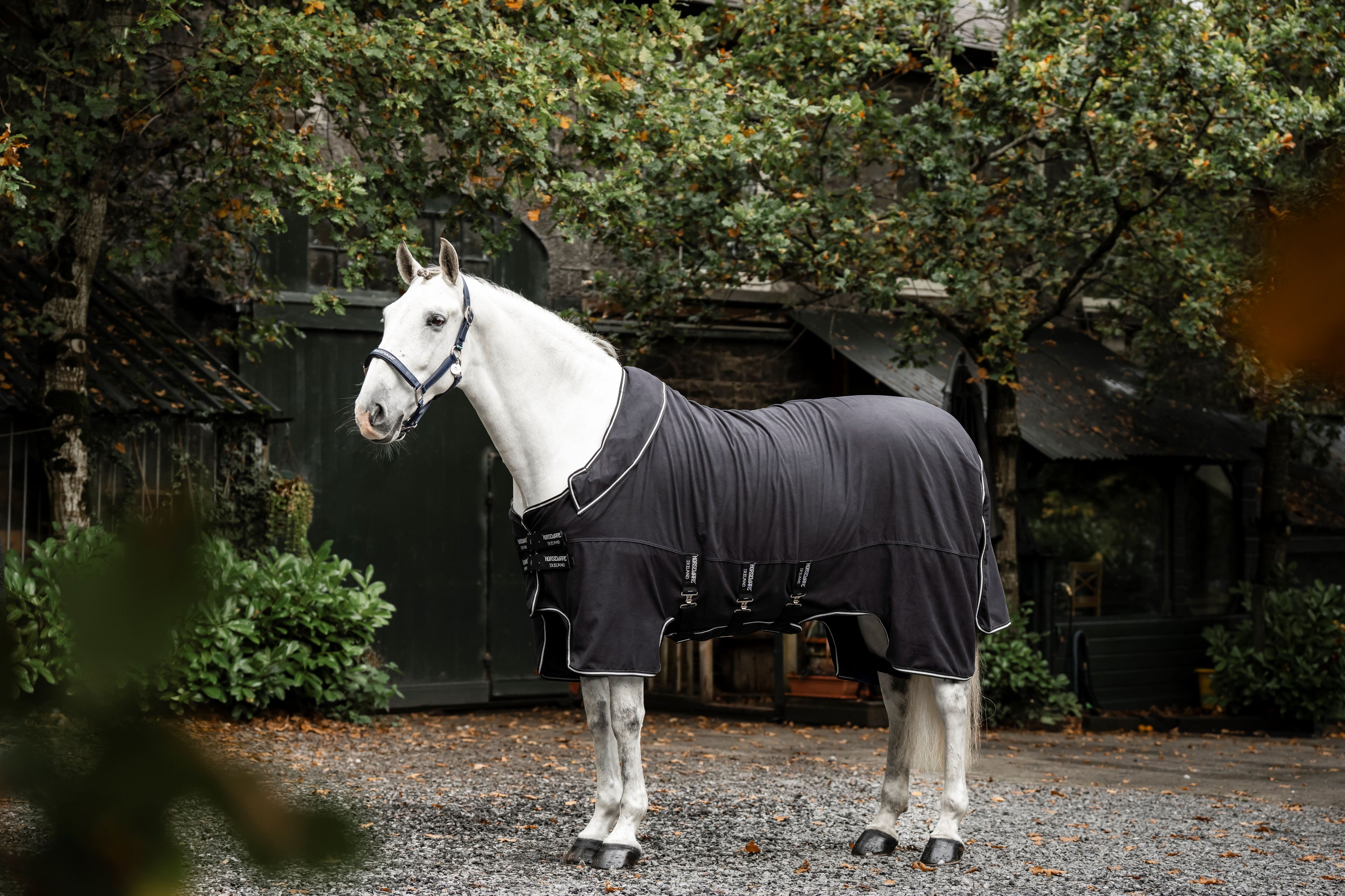 Horseware Show Ready Rug Showdækken / Transportdækken - Eksklusivt show- og transportdækken