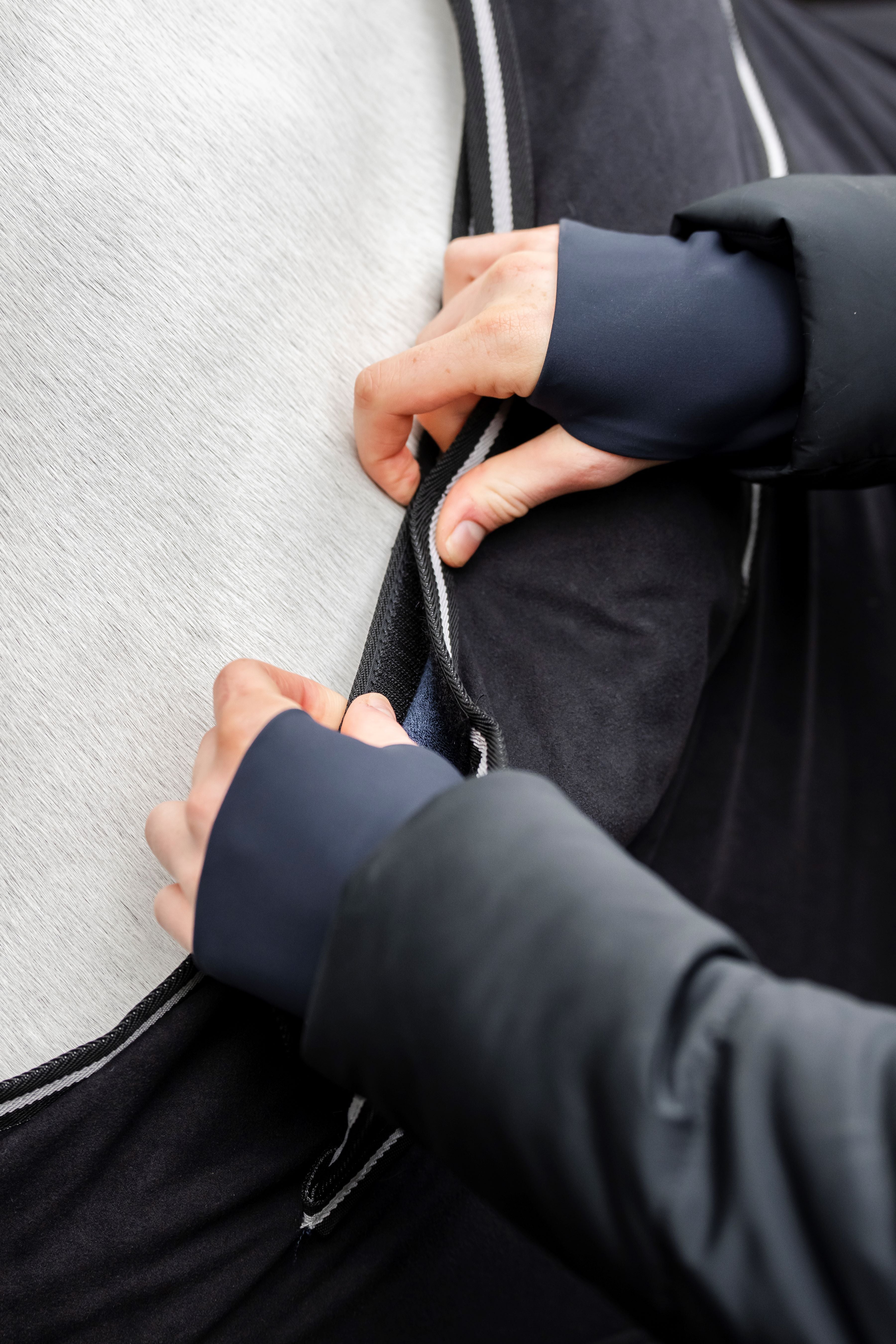 Horseware Show Ready Rug Showdækken / Transportdækken - Eksklusivt show- og transportdækken
