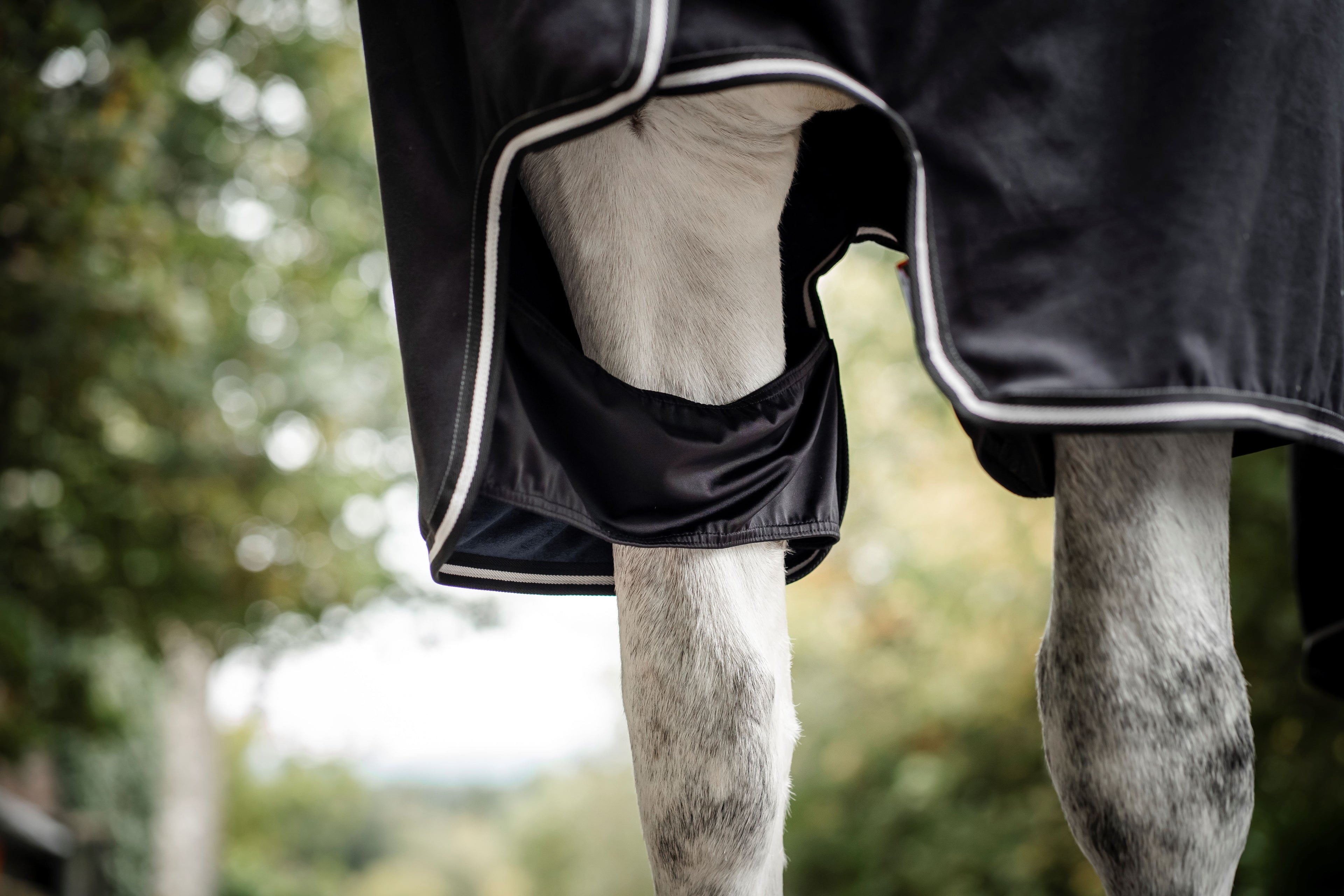 Horseware Show Ready Rug Showdækken / Transportdækken - Eksklusivt show- og transportdækken