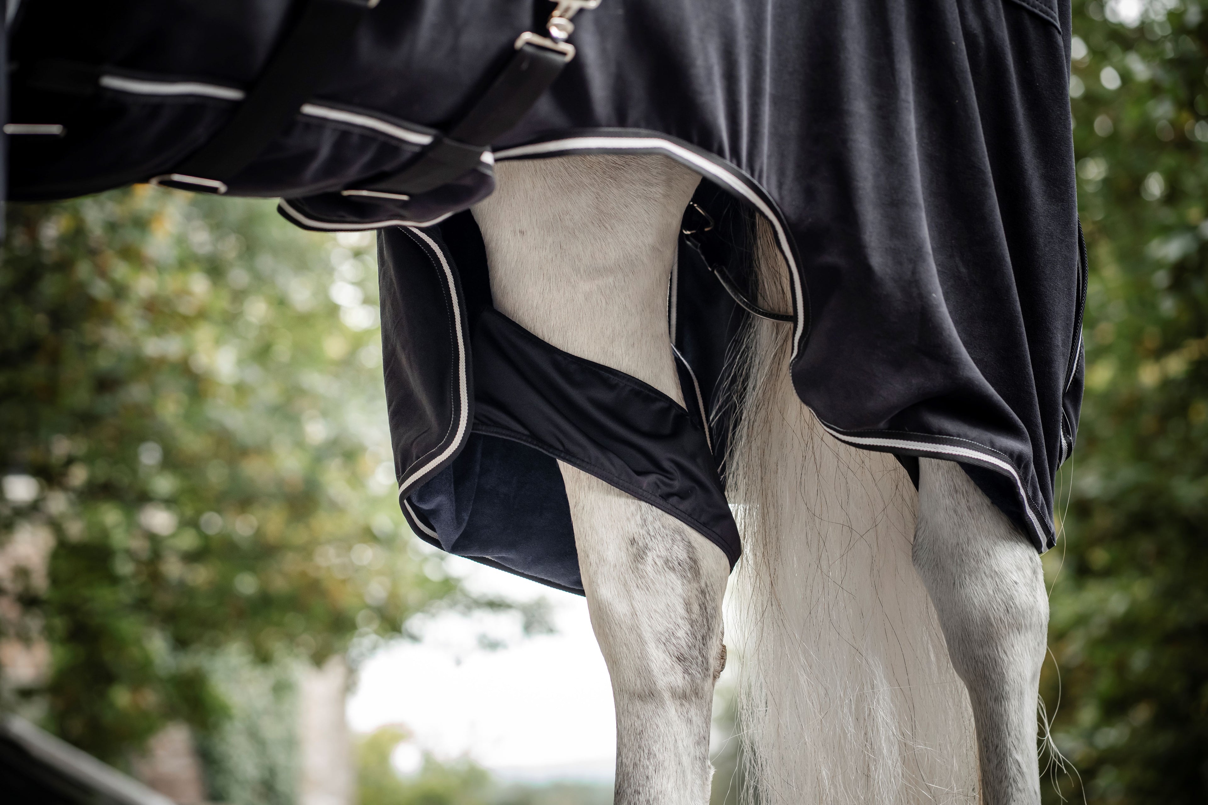 Horseware Show Ready Rug Showdækken / Transportdækken - Eksklusivt show- og transportdækken