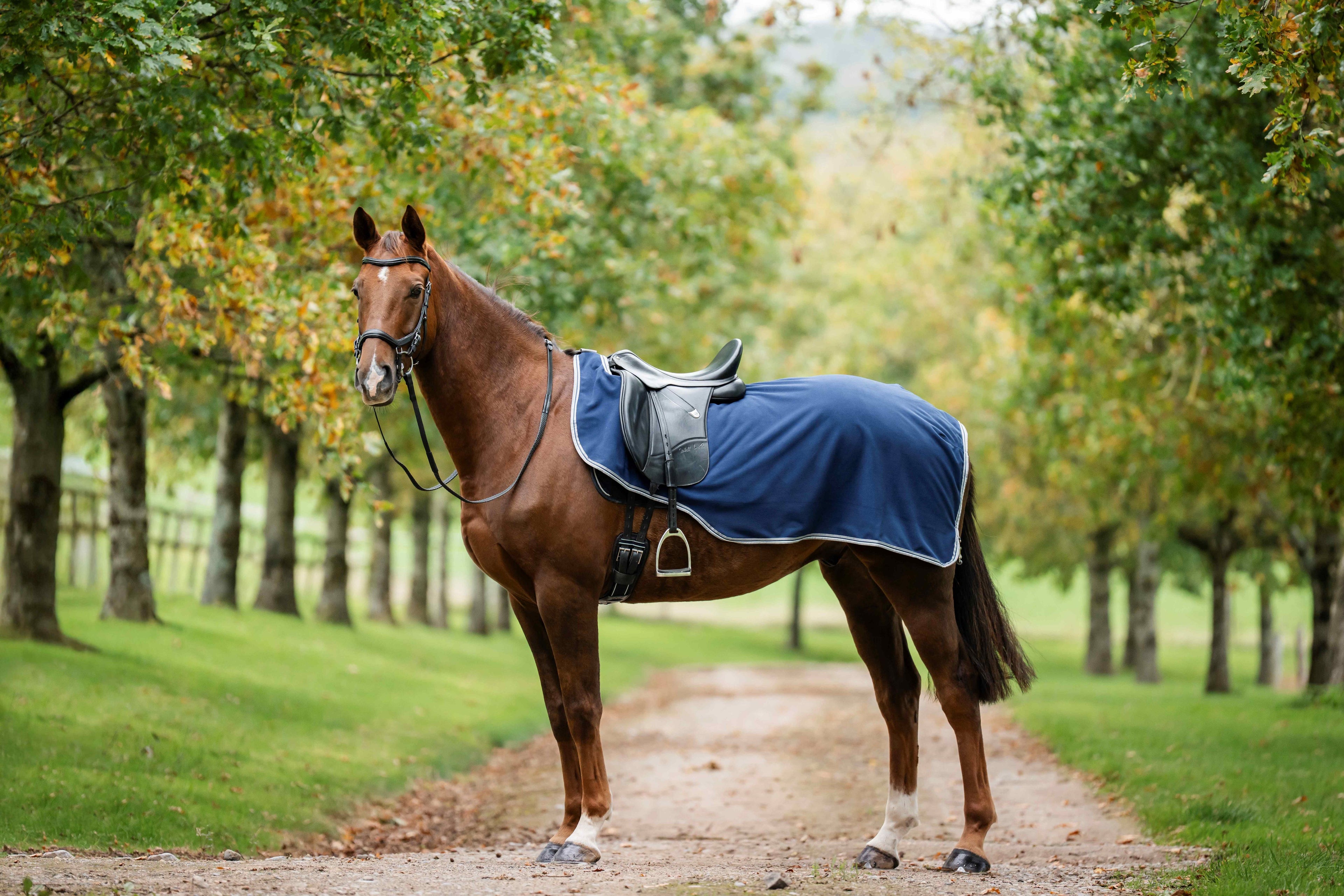 Rambo Waterproof Fleece Exercise Sheet Ridedækken - Vandtæt skridtdækken med fleecefor