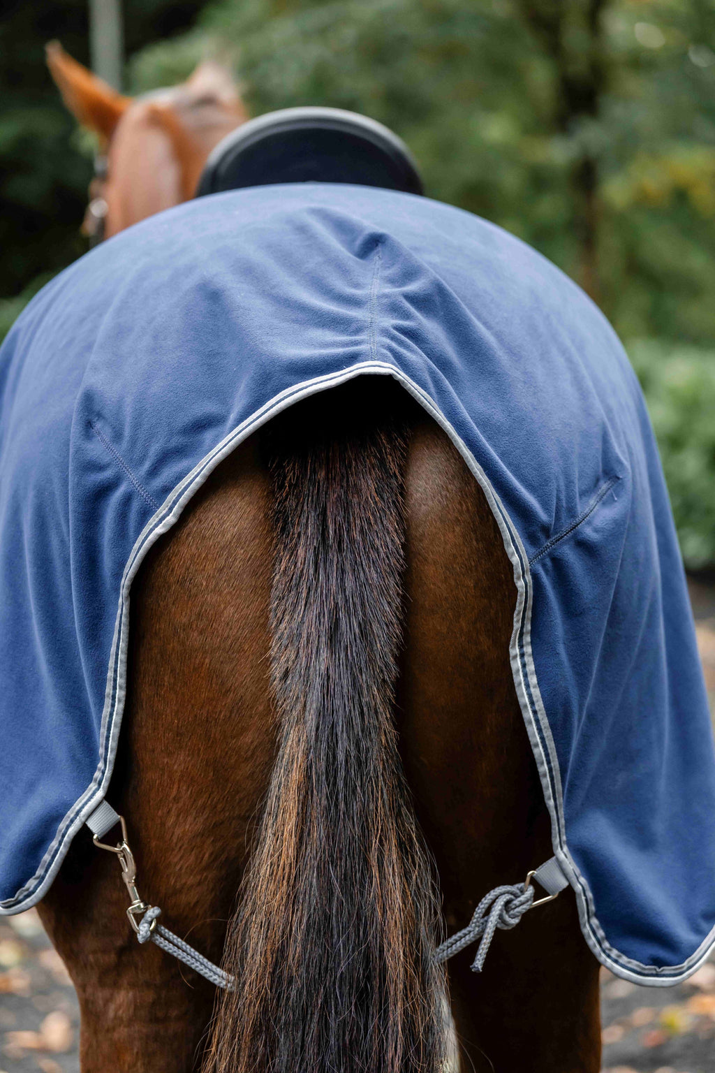 Rambo Waterproof Fleece Exercise Sheet Ridedækken - Vandtæt skridtdækken med fleecefor