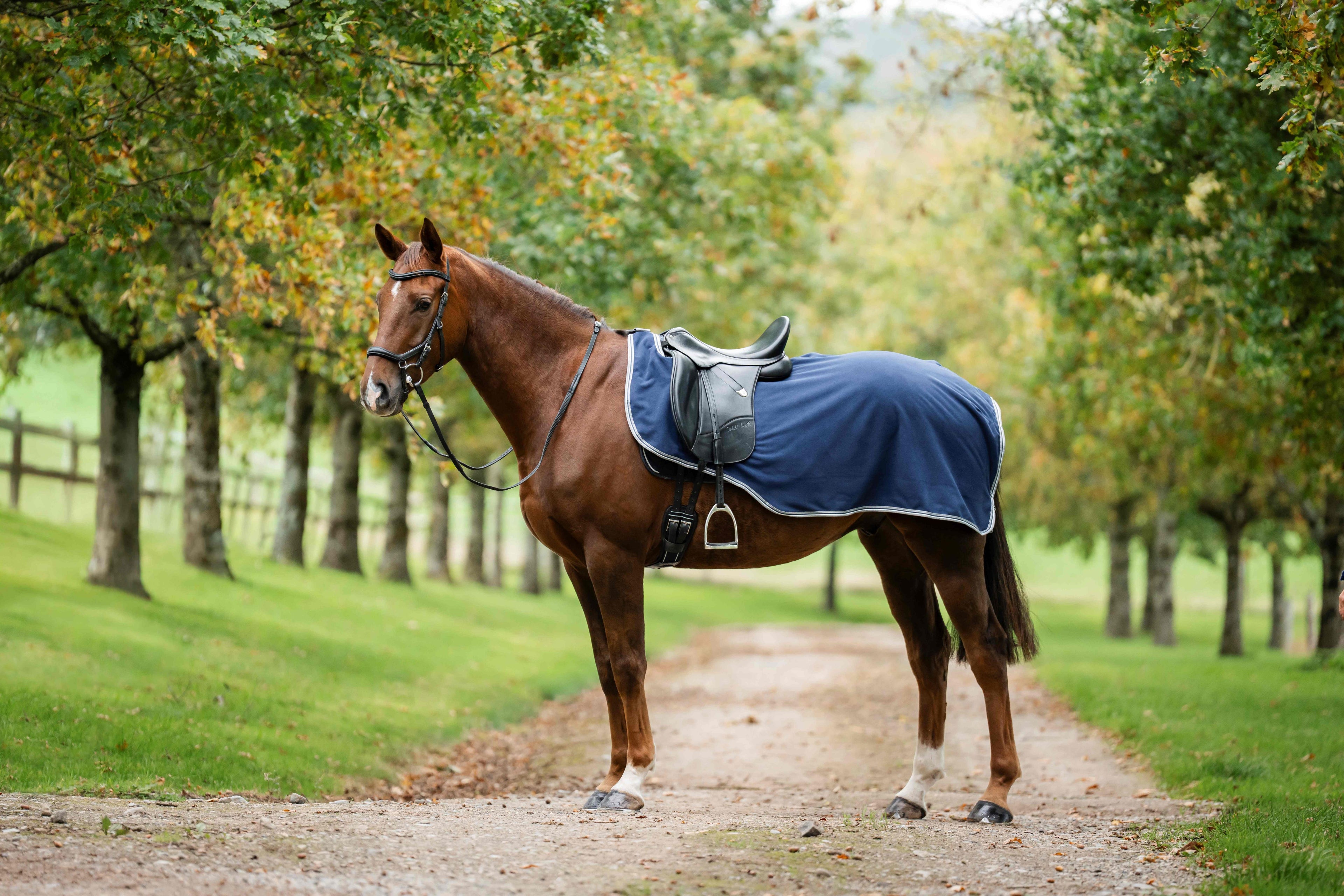 Rambo Waterproof Fleece Exercise Sheet Ridedækken - Vandtæt skridtdækken med fleecefor