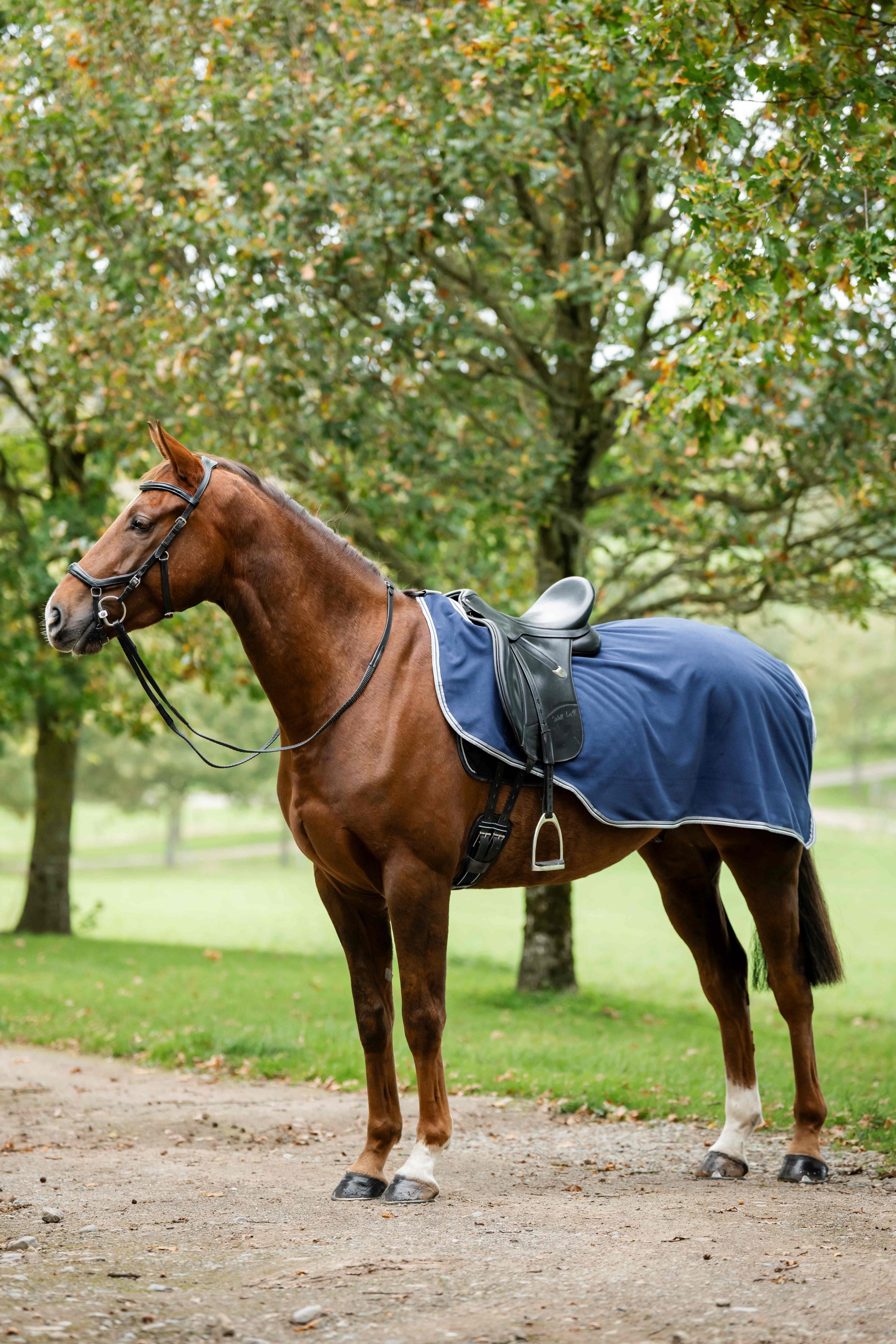 Rambo Waterproof Fleece Exercise Sheet Ridedækken - Vandtæt skridtdækken med fleecefor