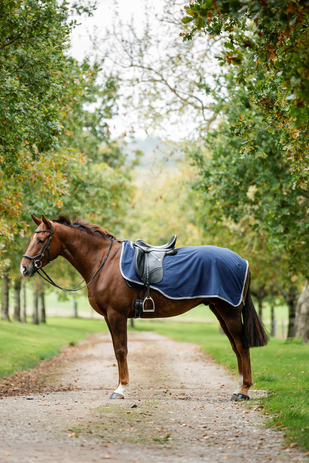 Rambo Waterproof Fleece Exercise Sheet Ridedækken - Vandtæt skridtdækken med fleecefor