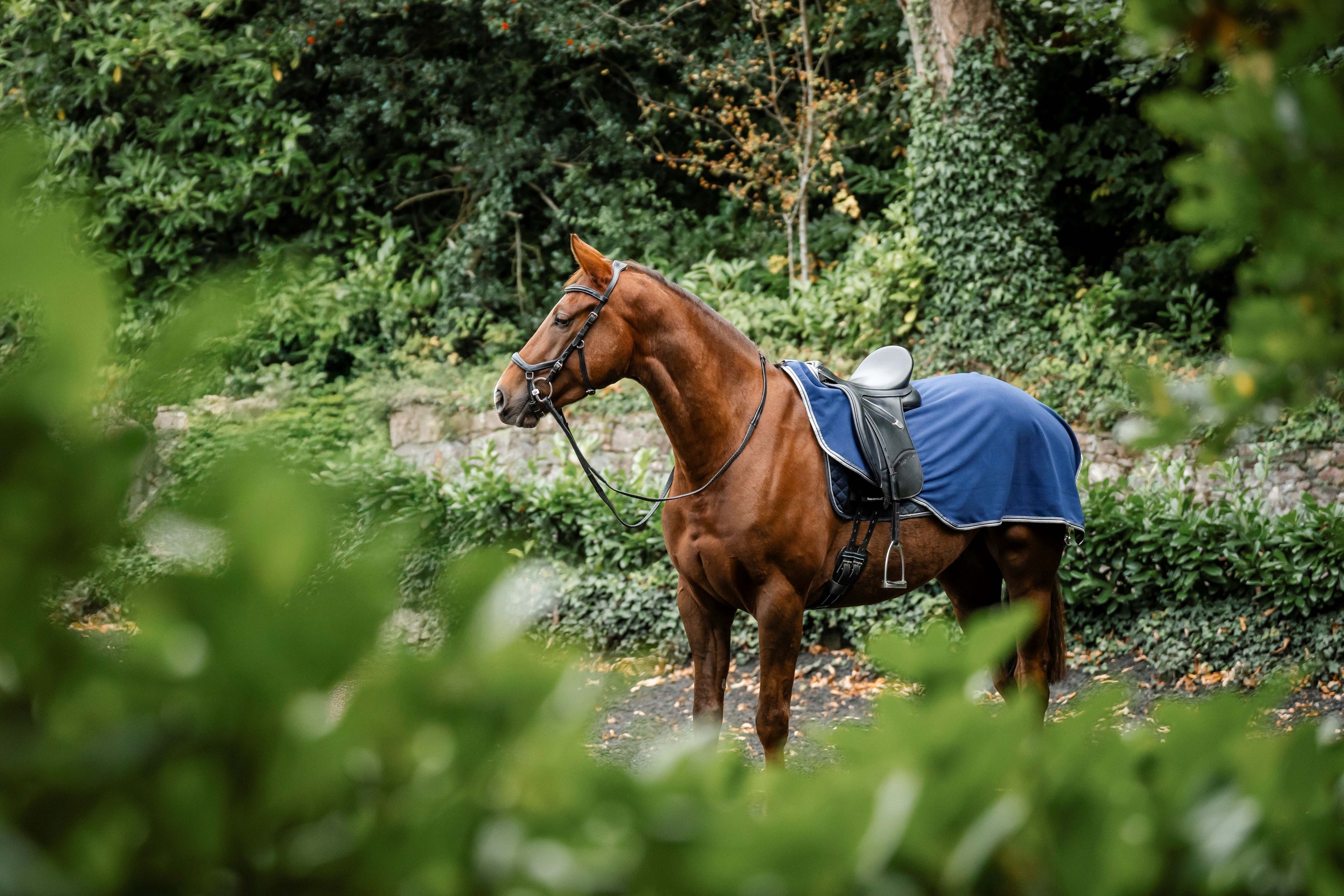 Rambo Waterproof Fleece Exercise Sheet Ridedækken - Vandtæt skridtdækken med fleecefor