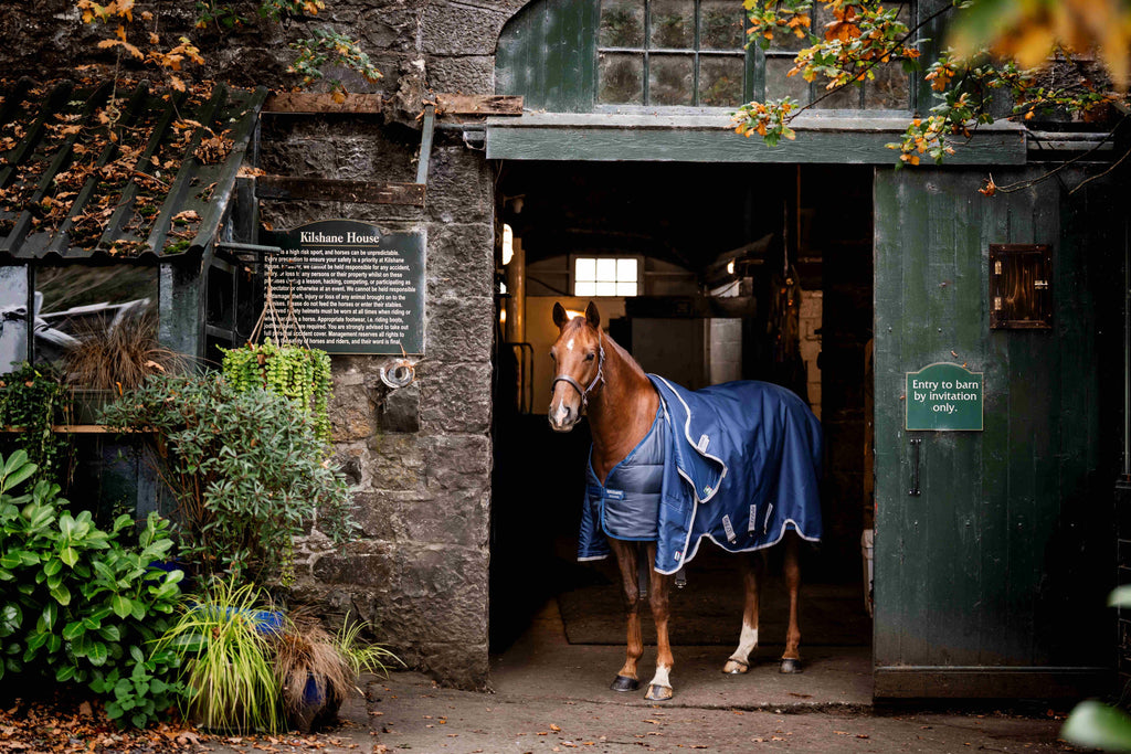 Horseware Liner 400g - Maksimal varme på årets koldeste dage