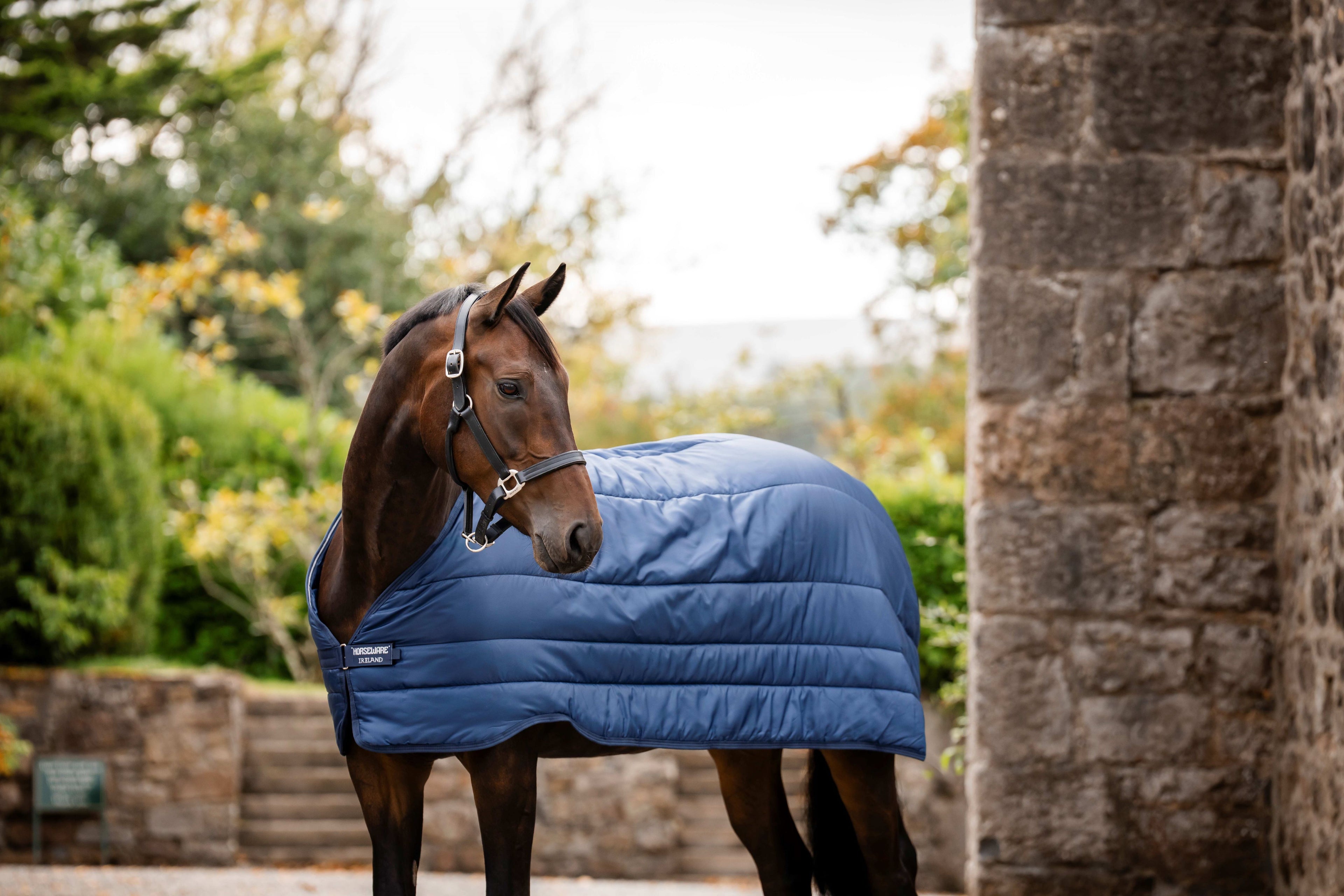 Horseware Liner 50g - Let temperaturregulerende liner