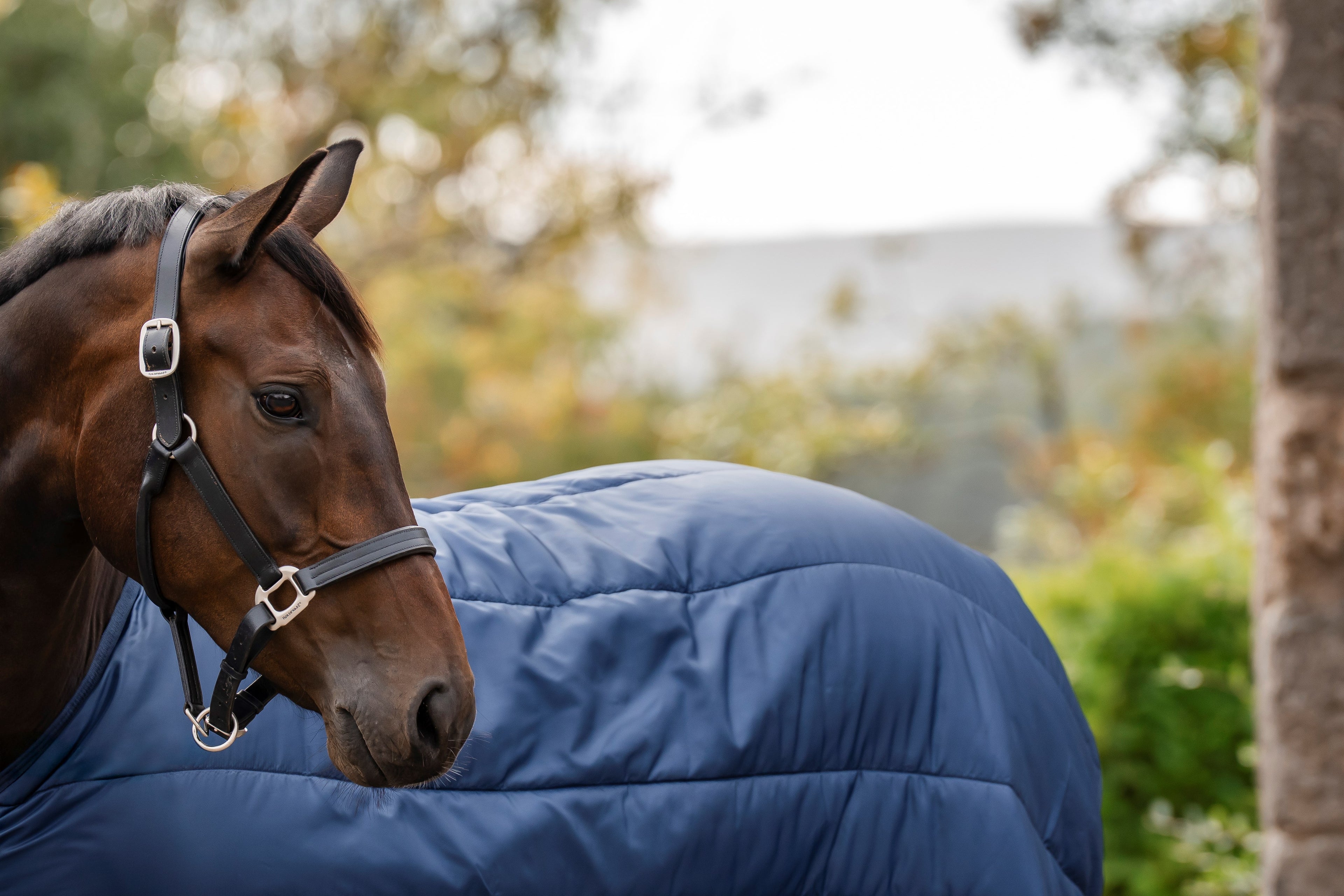 Horseware Liner 50g - Let temperaturregulerende liner
