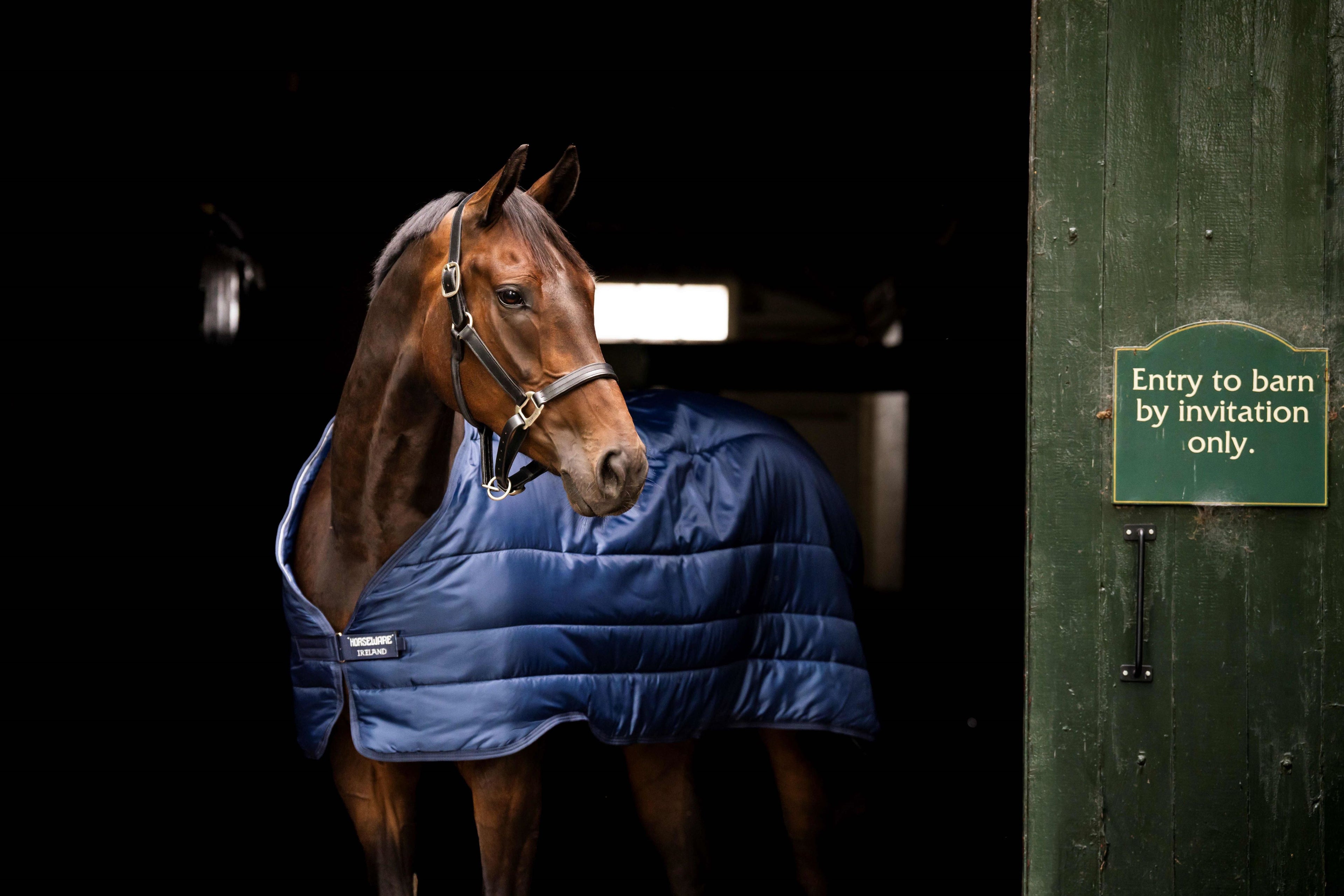 Horseware Liner 50g - Let temperaturregulerende liner