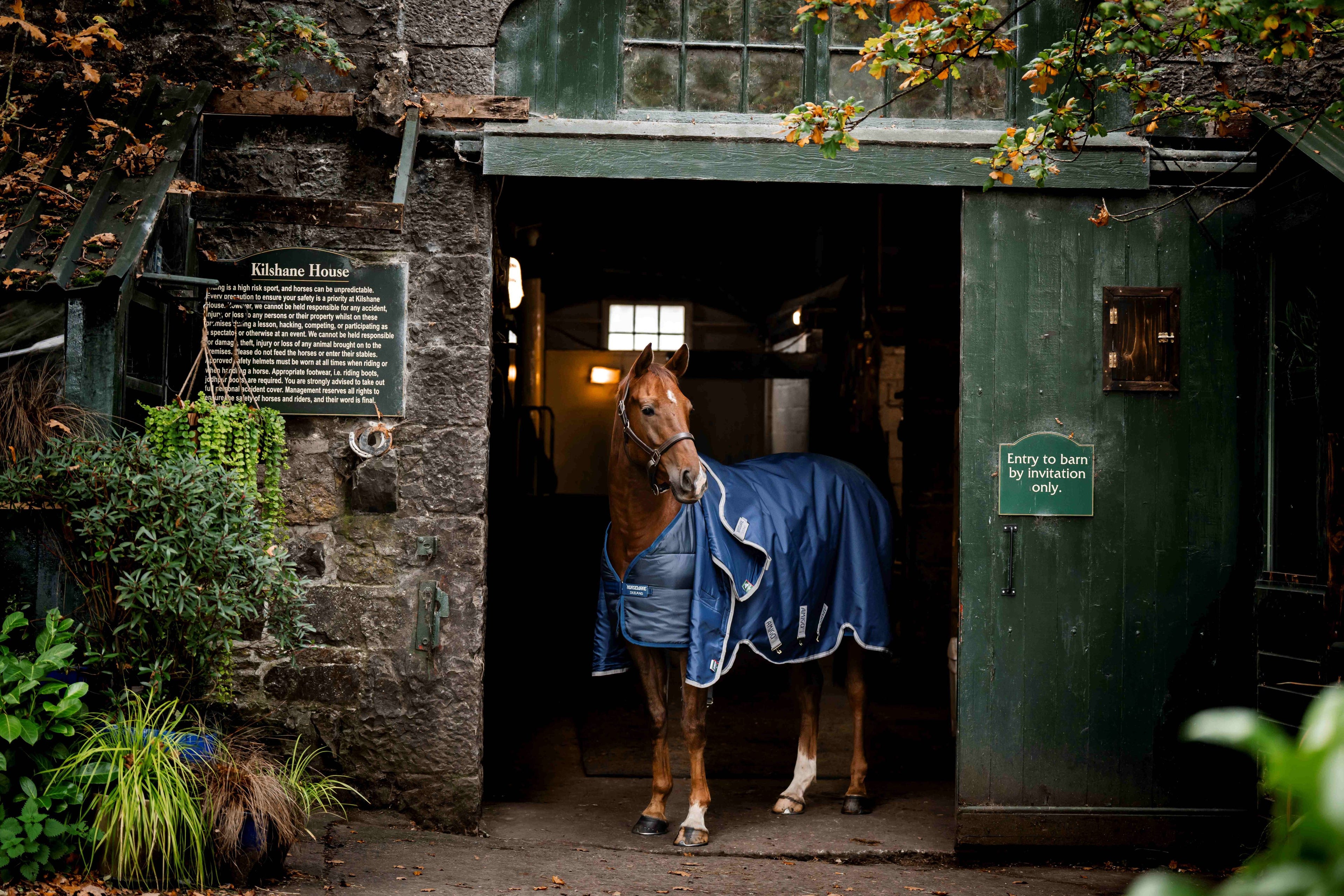 Horseware Liner 50g - Let temperaturregulerende liner