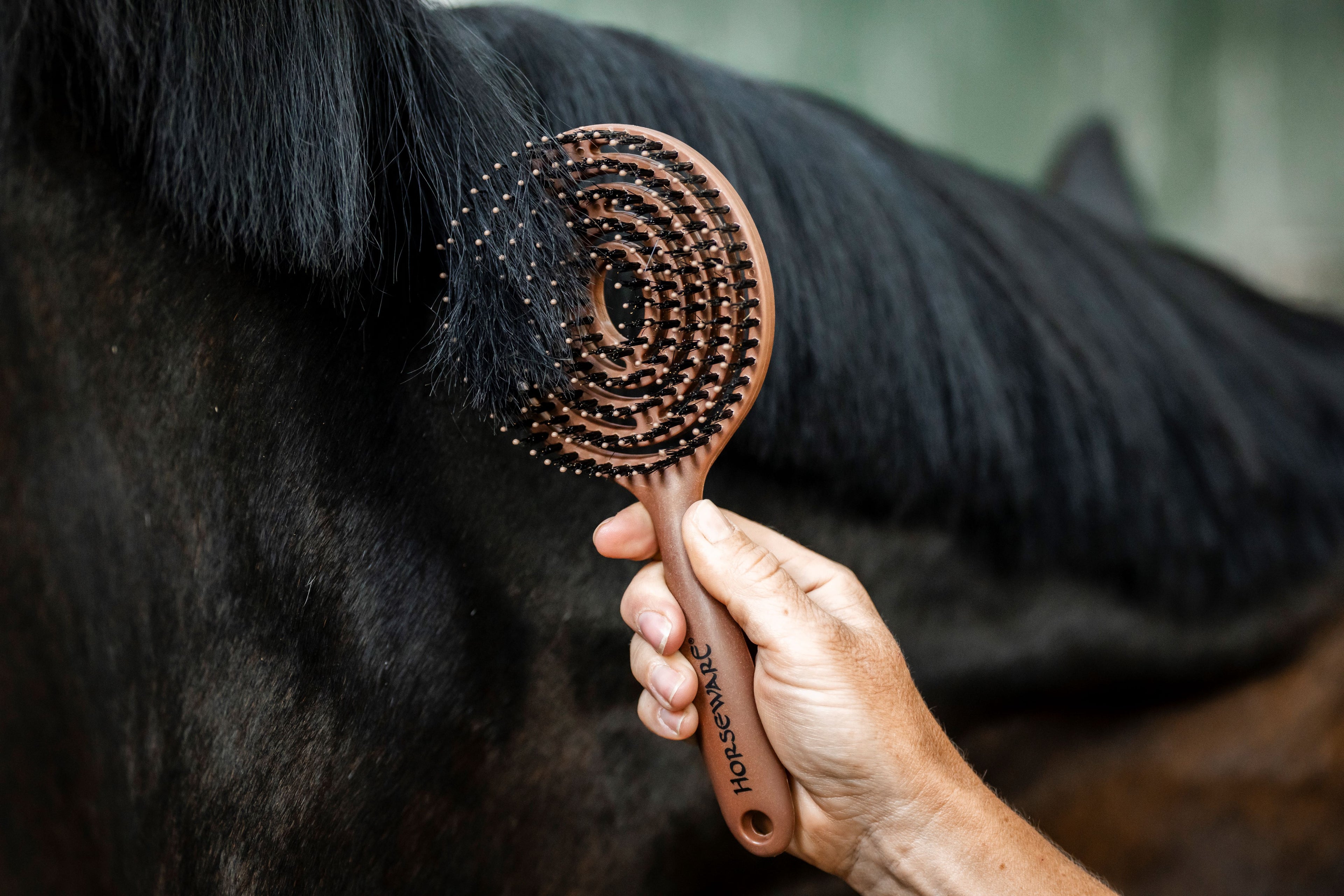 Horseware Manke- & Halebørste - Nem og skånsom udredning med flot finish
