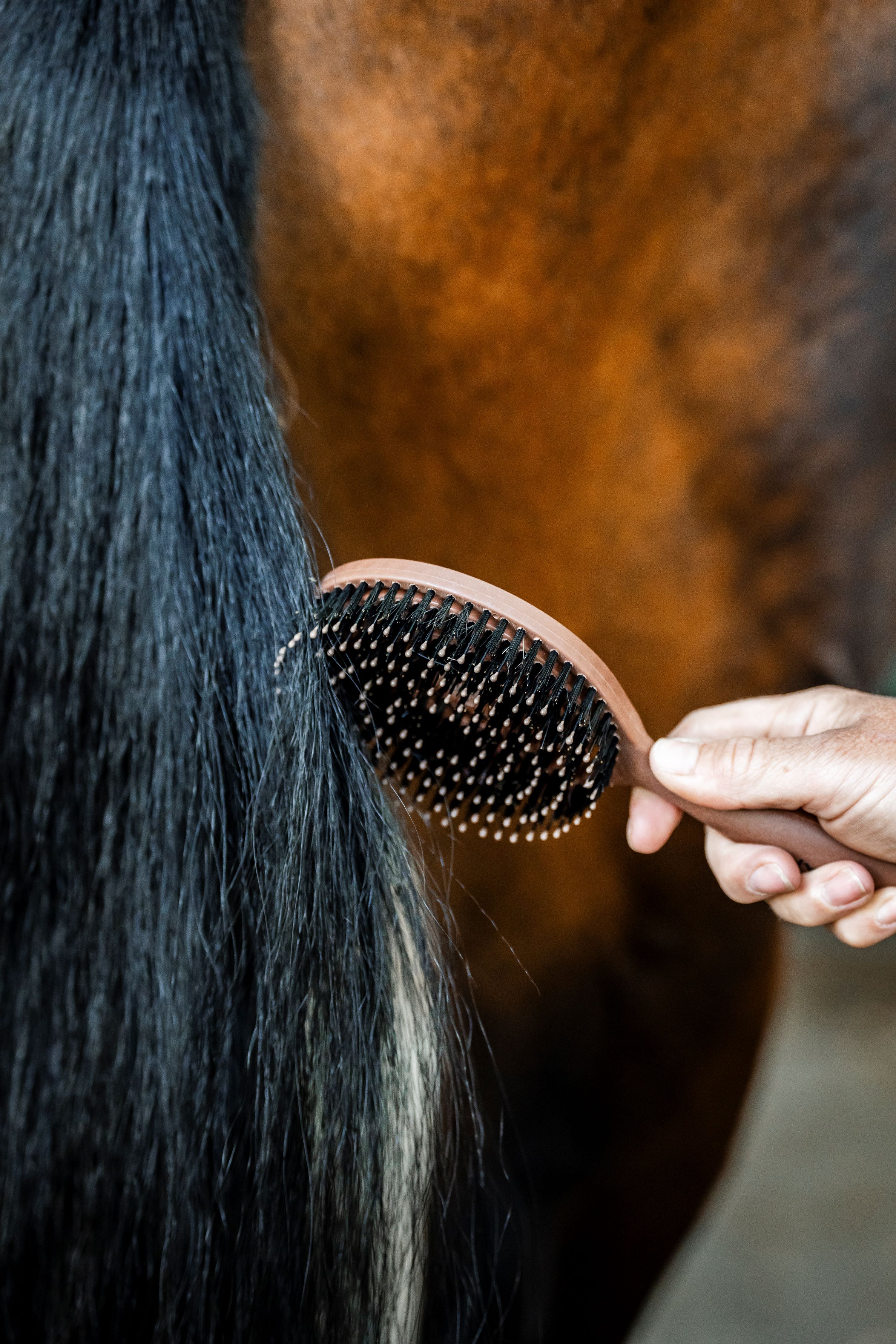 Horseware Manke- & Halebørste - Nem og skånsom udredning med flot finish