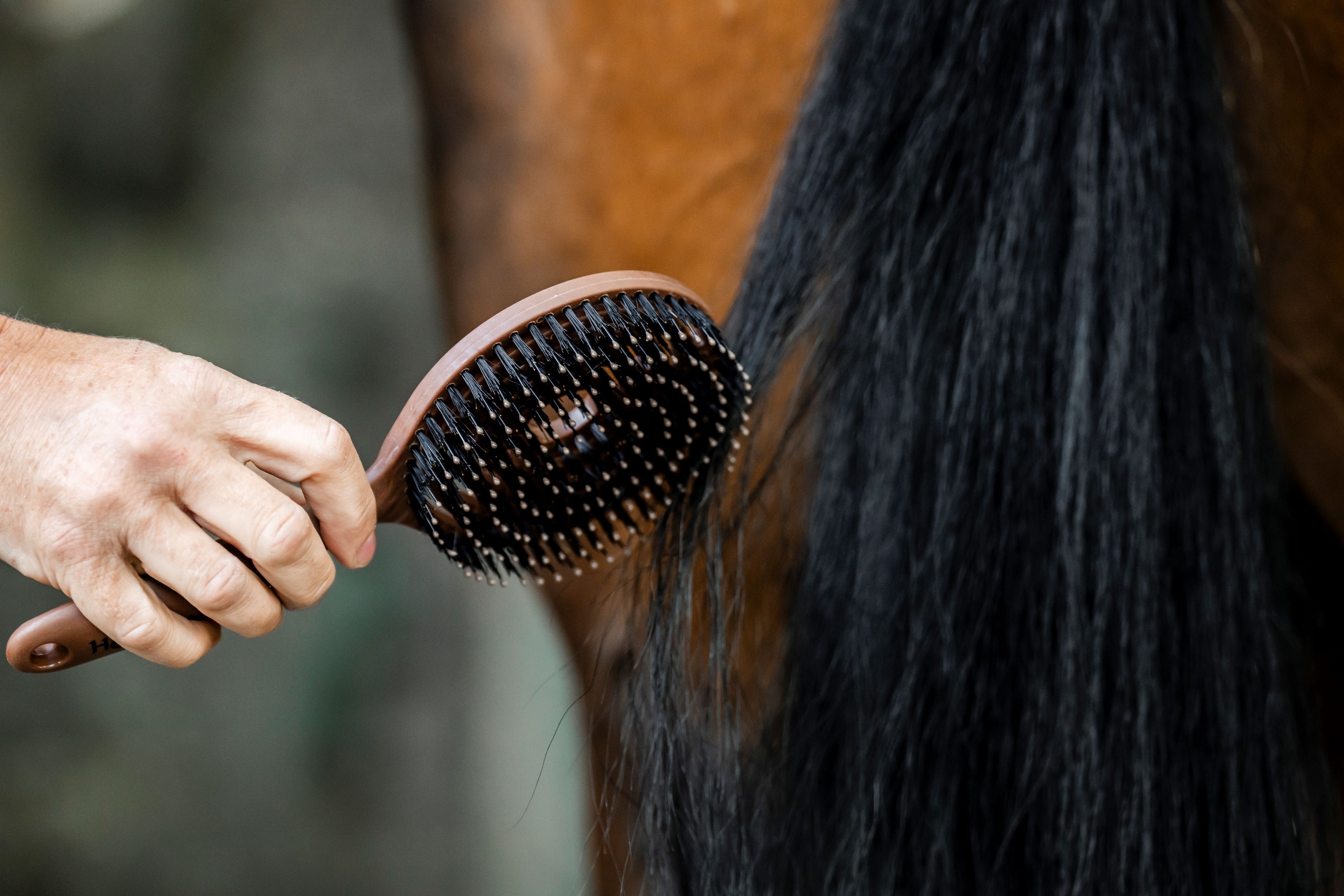 Horseware Manke- & Halebørste - Nem og skånsom udredning med flot finish