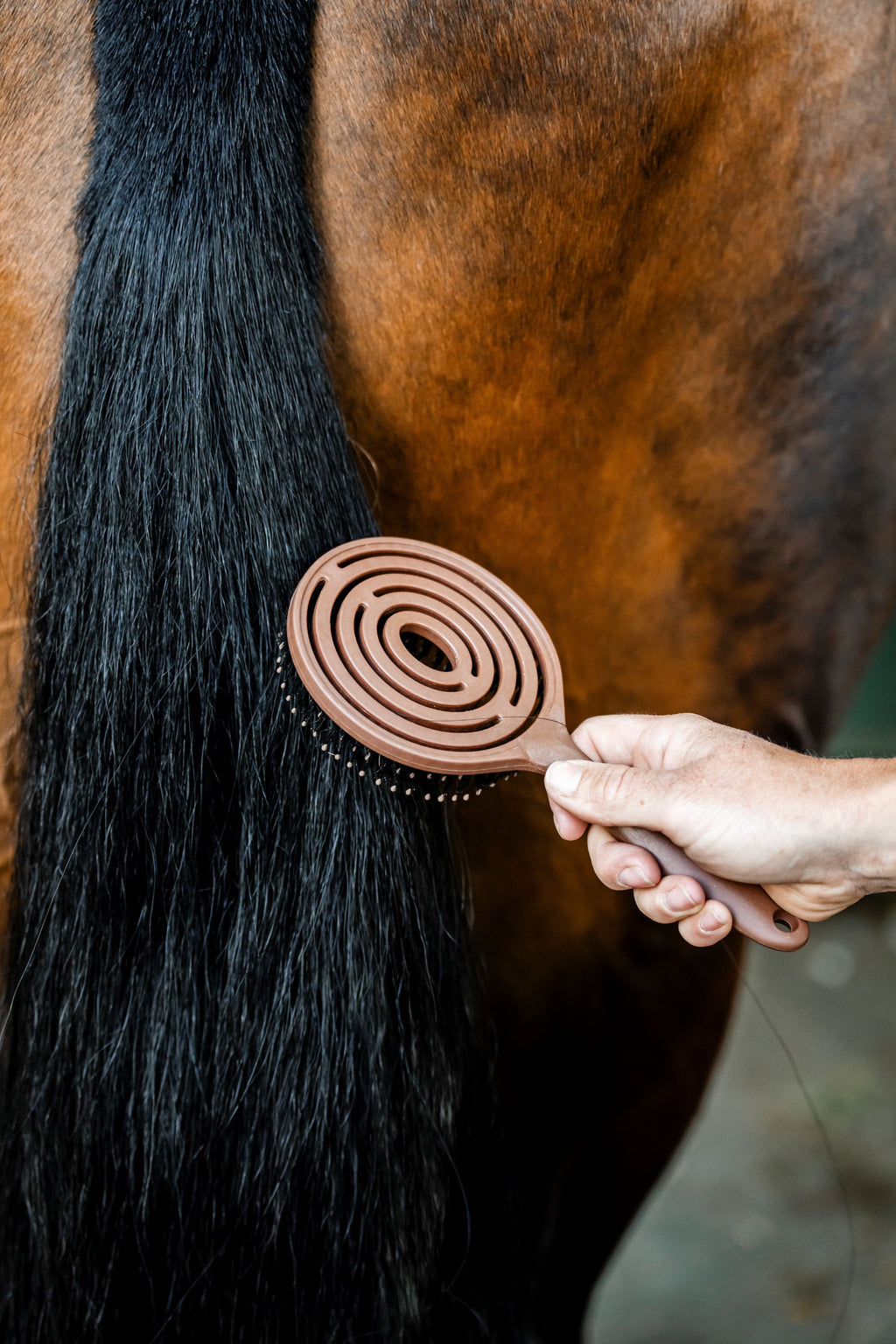 Horseware Manke- & Halebørste - Nem og skånsom udredning med flot finish