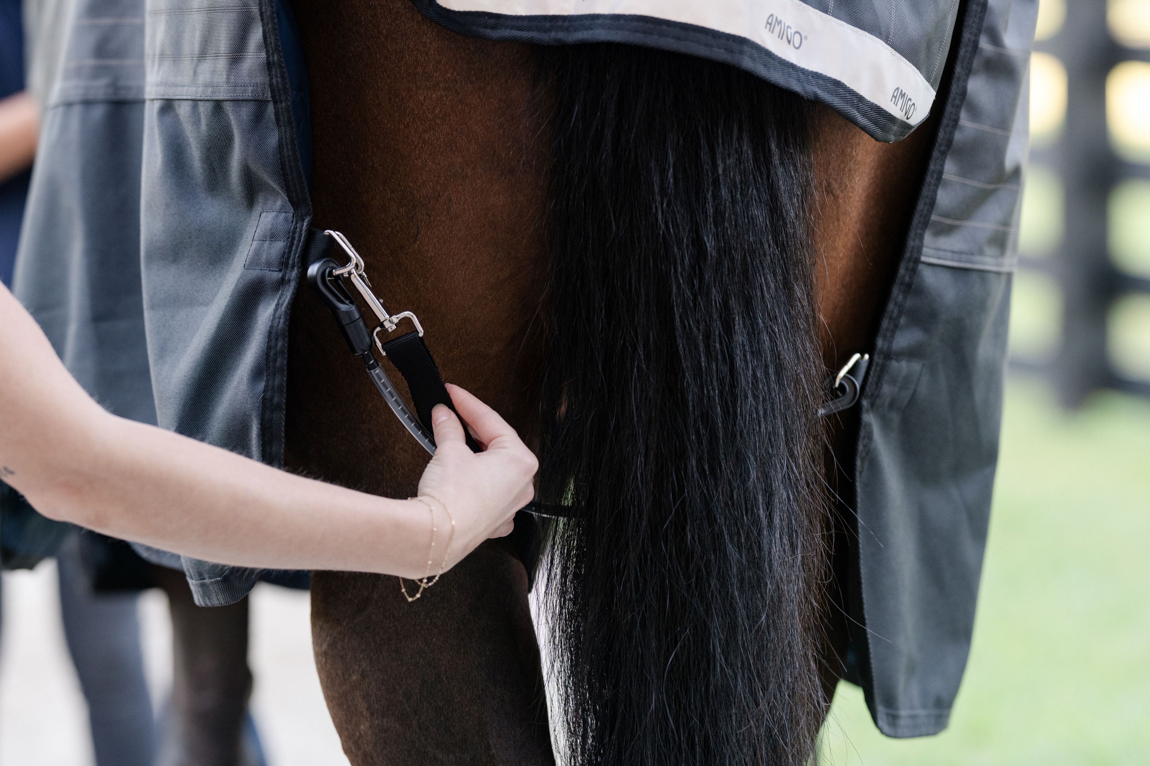 Elastiske Benstropper  fra Horseware (2 stk.) - Ekstra stabilitet og sikker pasform til dækkenet