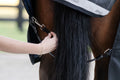 Elastiske Benstropper  fra Horseware (2 stk.) - Ekstra stabilitet og sikker pasform til dækkenet