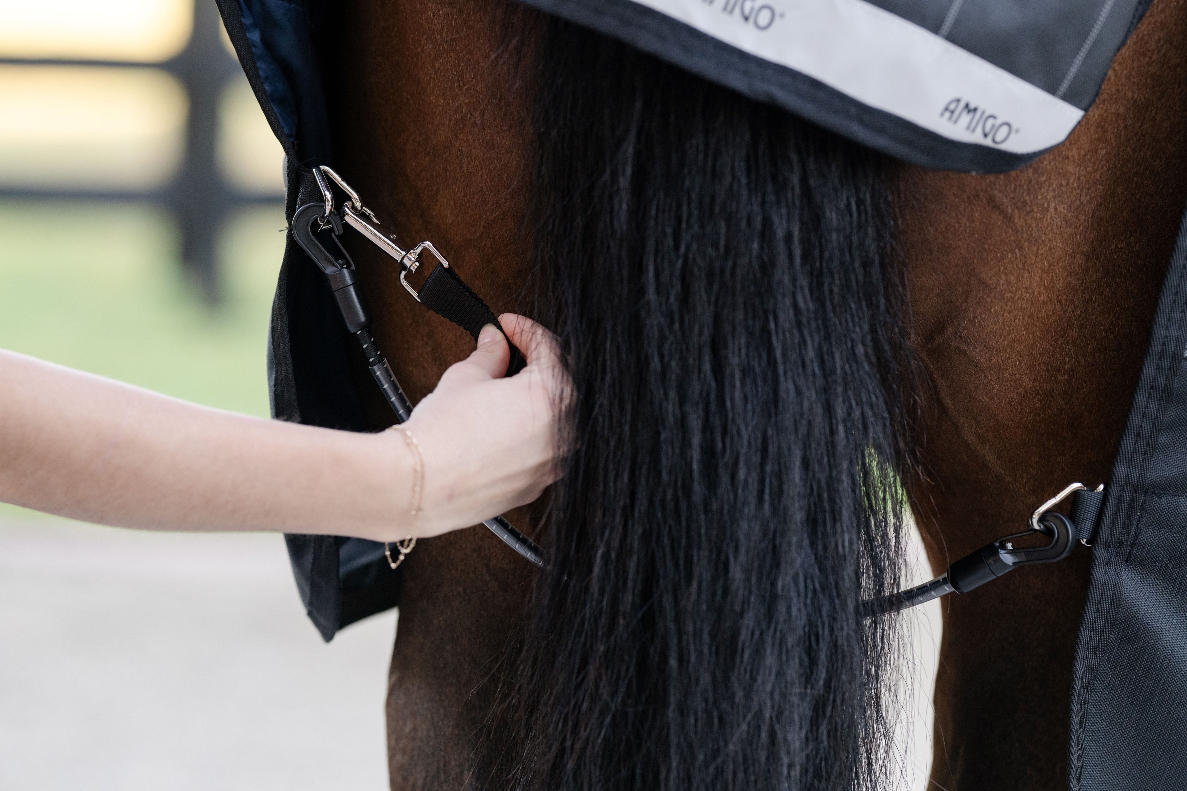 Elastiske Benstropper  fra Horseware (2 stk.) - Ekstra stabilitet og sikker pasform til dækkenet