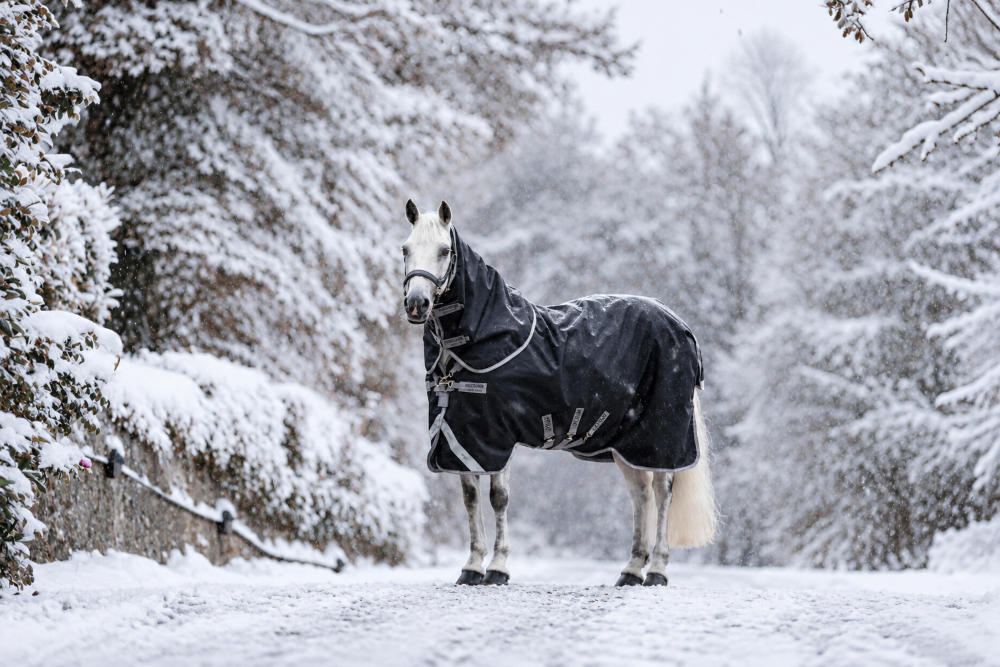 Horseware Amigo 1200D Plus Turnout 400g, inkl. hals - Vinterdækken