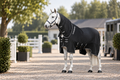 Horseware Show Ready Rug Showdækken / Transportdækken - Eksklusivt show- og transportdækken