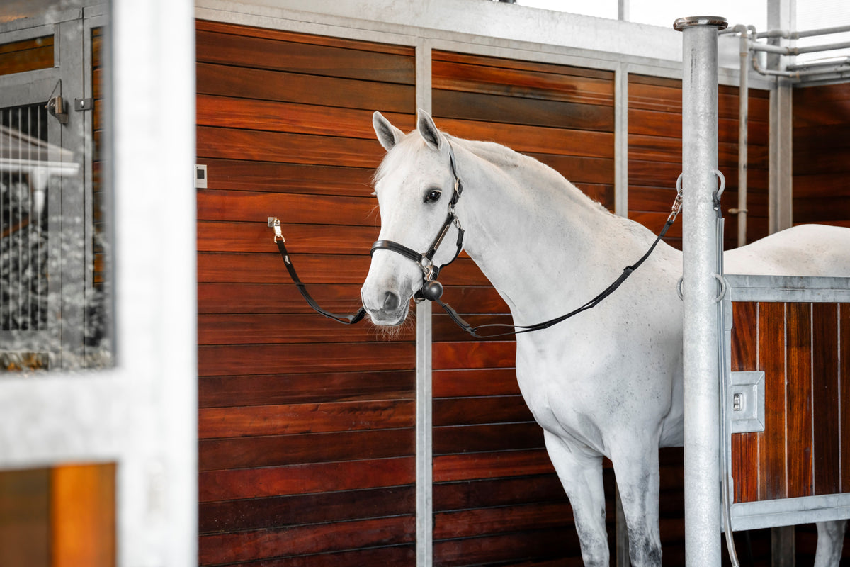Horseware Quiet Drop sikkerhedsopbinding – 2 stk.