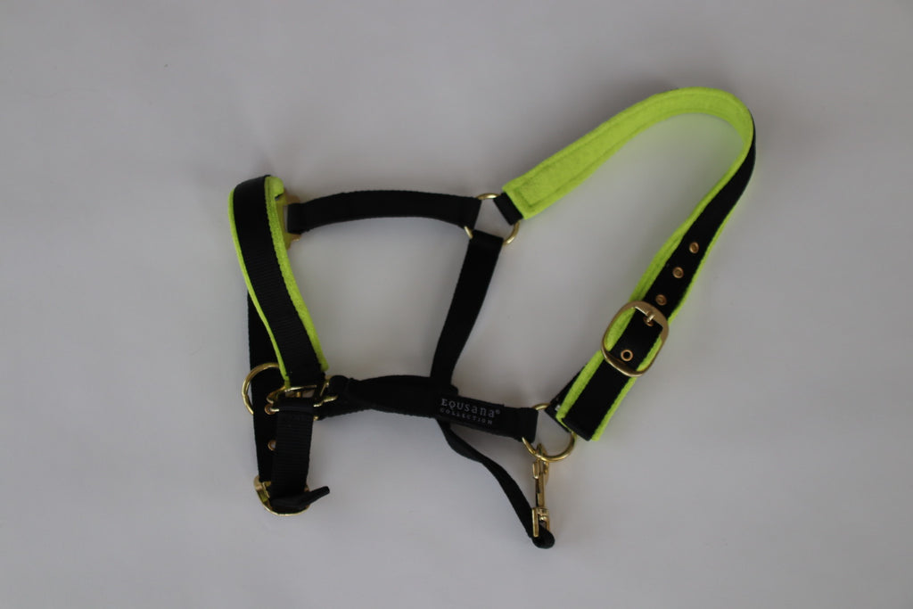 Equsana Collection grime – str. Cob (sort/lime)