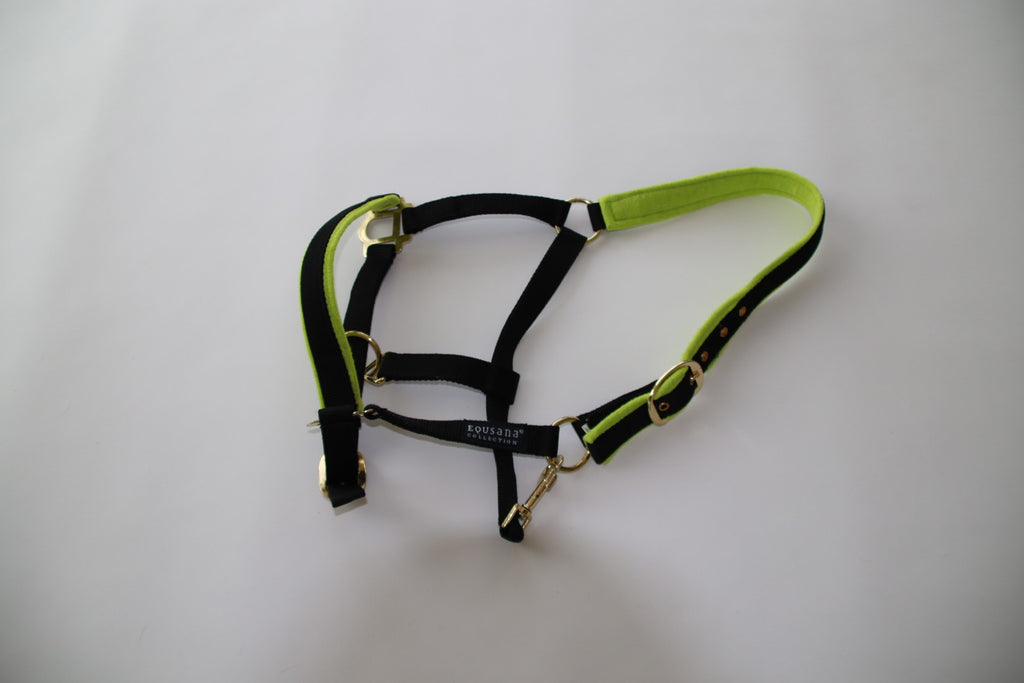 Equsana Collection grime – str. Cob (sort/lime)
