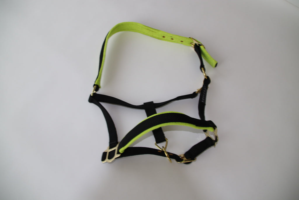 Equsana Collection grime – str. Cob (sort/lime)