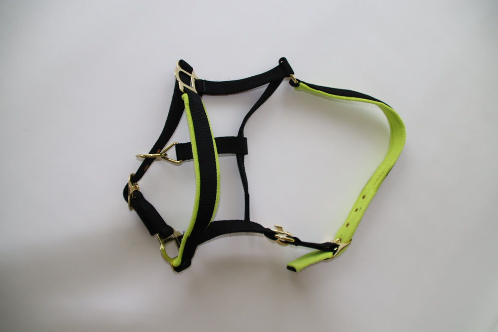 Equsana Collection grime – str. Cob (sort/lime)