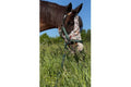 Professional's Choice Comfort Fit Lycra Fluemaske Str.Pony, Cob