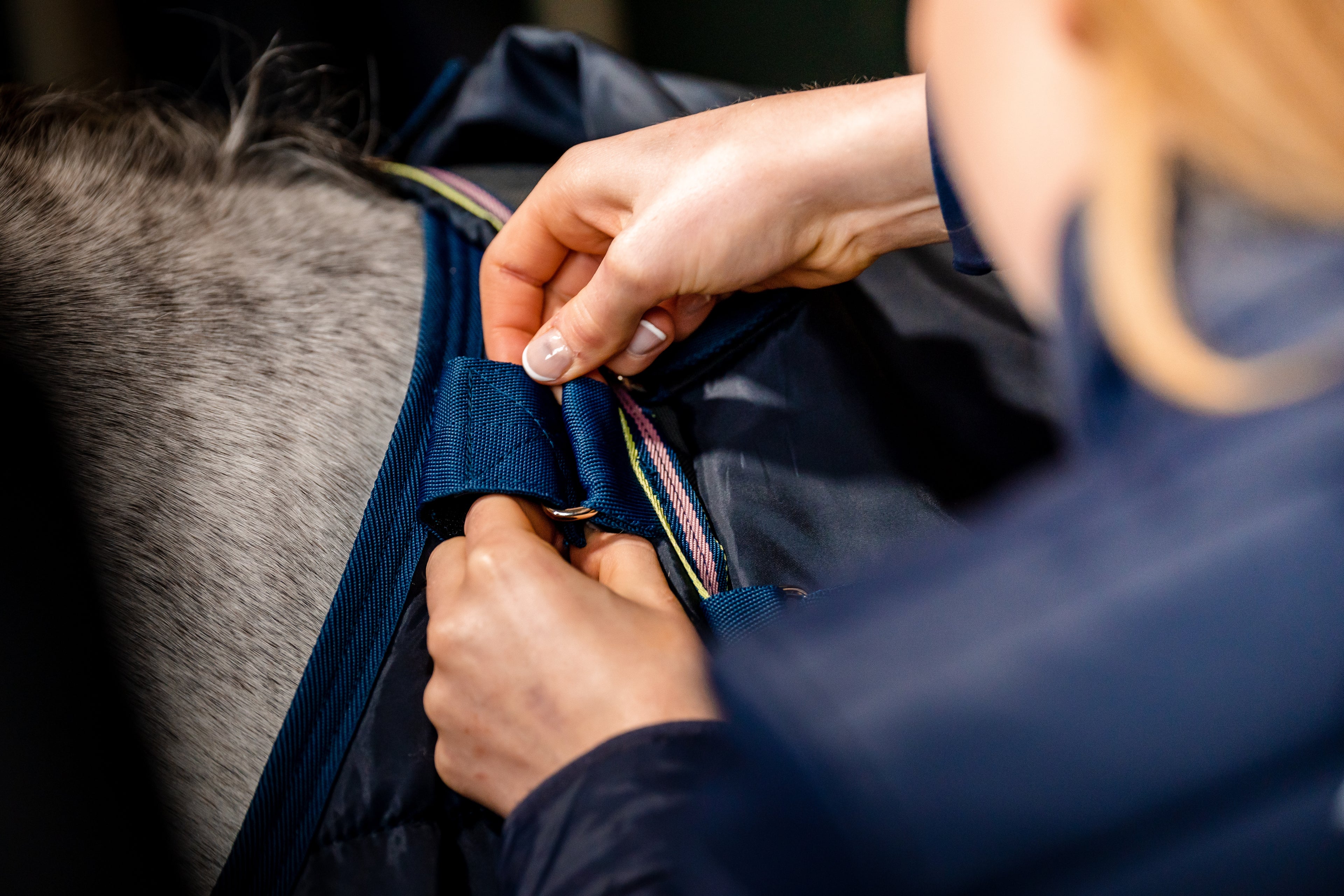 Horseware Amigo 1200D Plus Turnout Bundle 50g , inkl. hals, 100g & 200g liner - Regndækken / Overgangsdækken / Vinterdækken