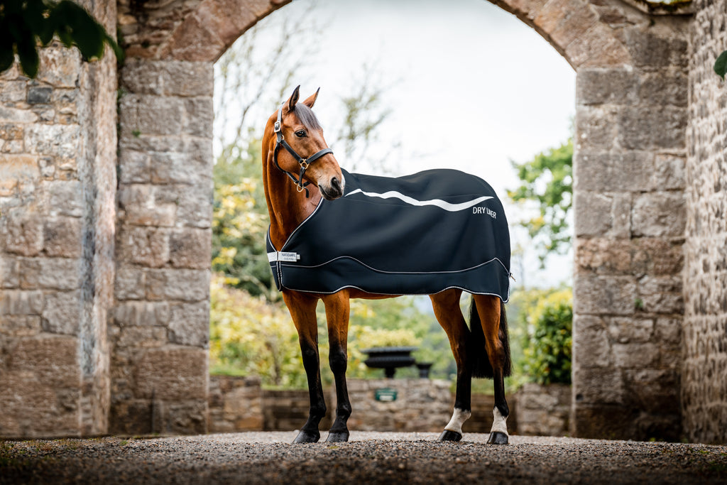 Horseware Dry Liner 50g - Tørrer hesten under dækkenet. Navi/Silver