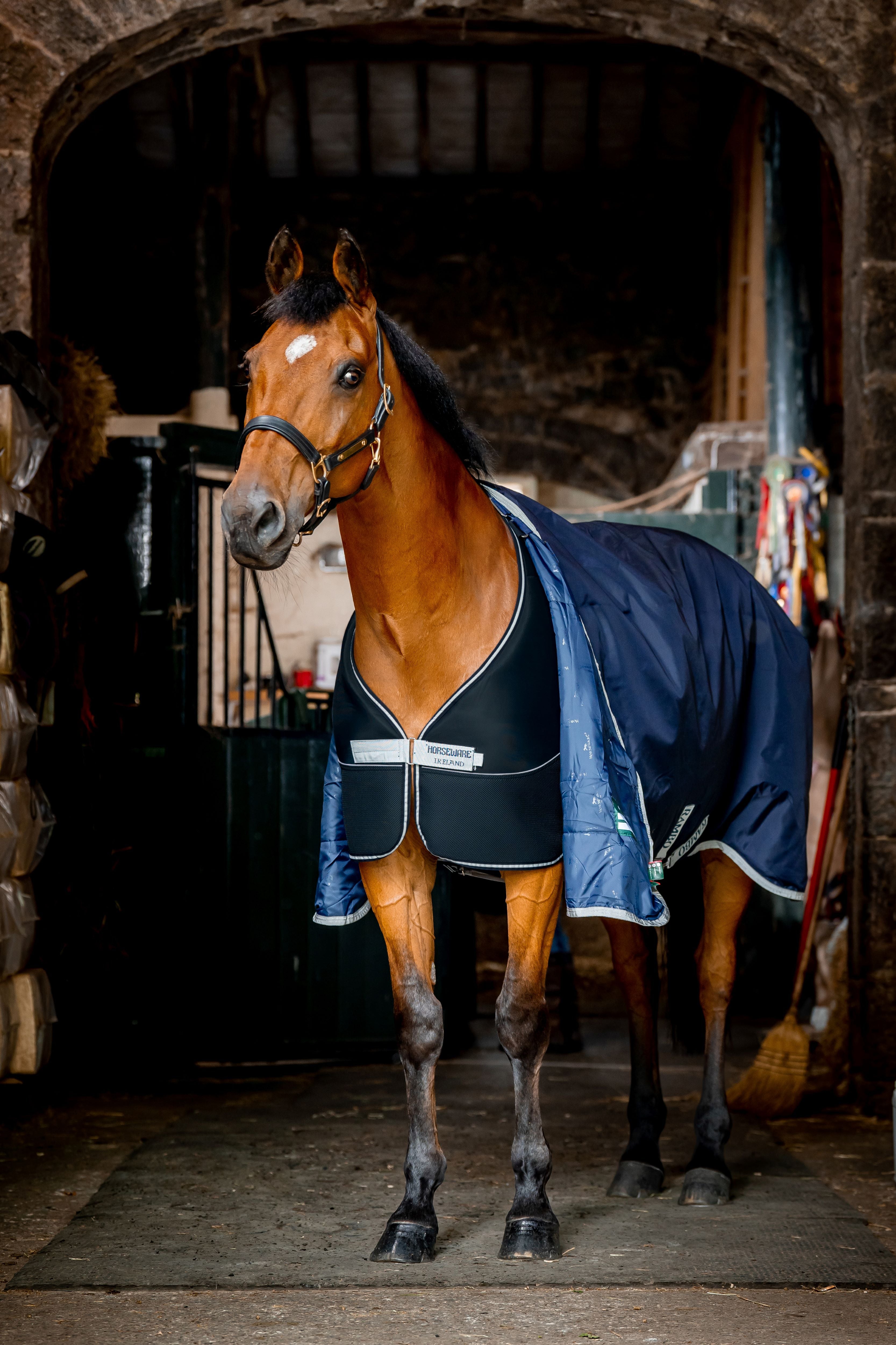 Horseware Dry Liner 50g - Tørrer hesten under dækkenet. Navi/Silver