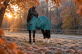 Horseware Amigo Ripstop 900D Turnout 200g - Overgangsdækken