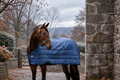 Horseware Liner 200g - Mellemvarm liner til kølige dage